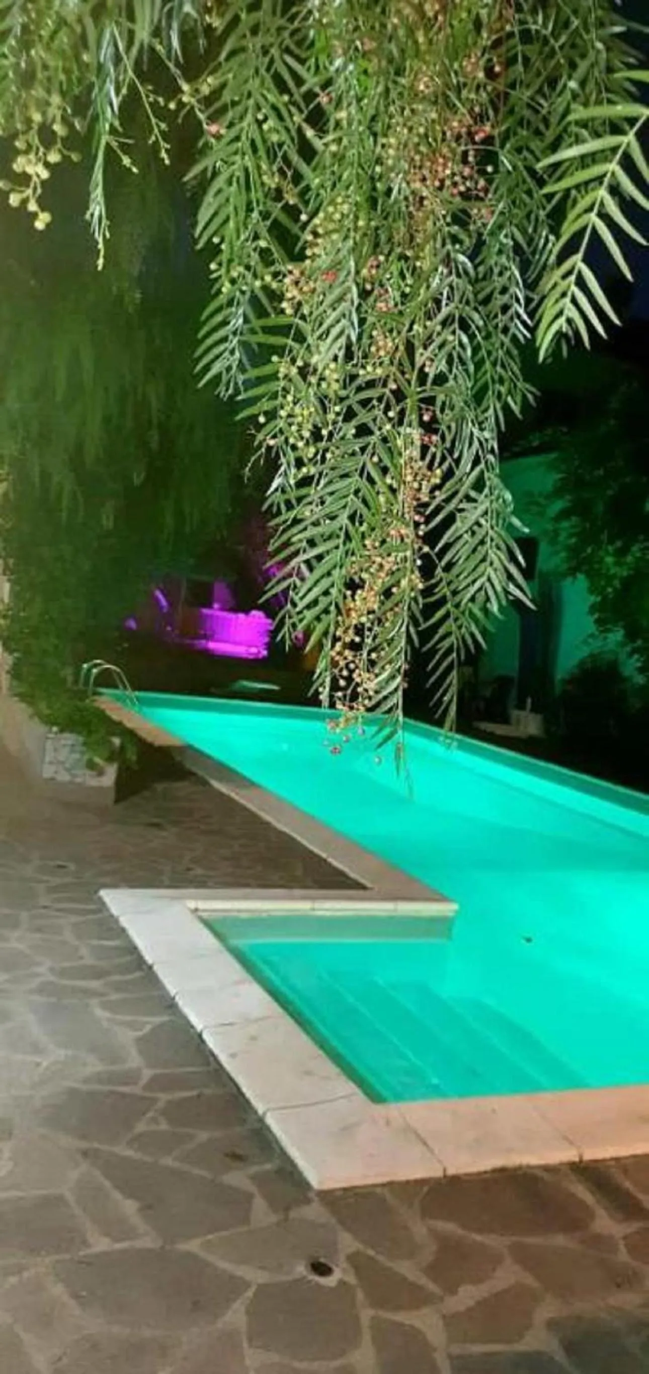 Swimming pool in B&B Il Sognatore