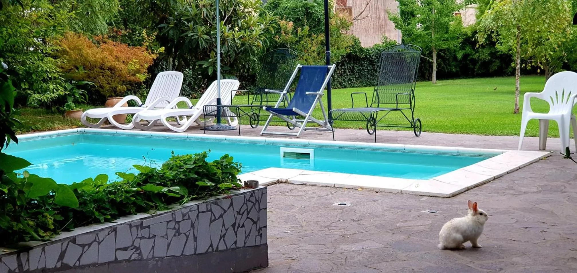 Swimming pool in B&B Il Sognatore
