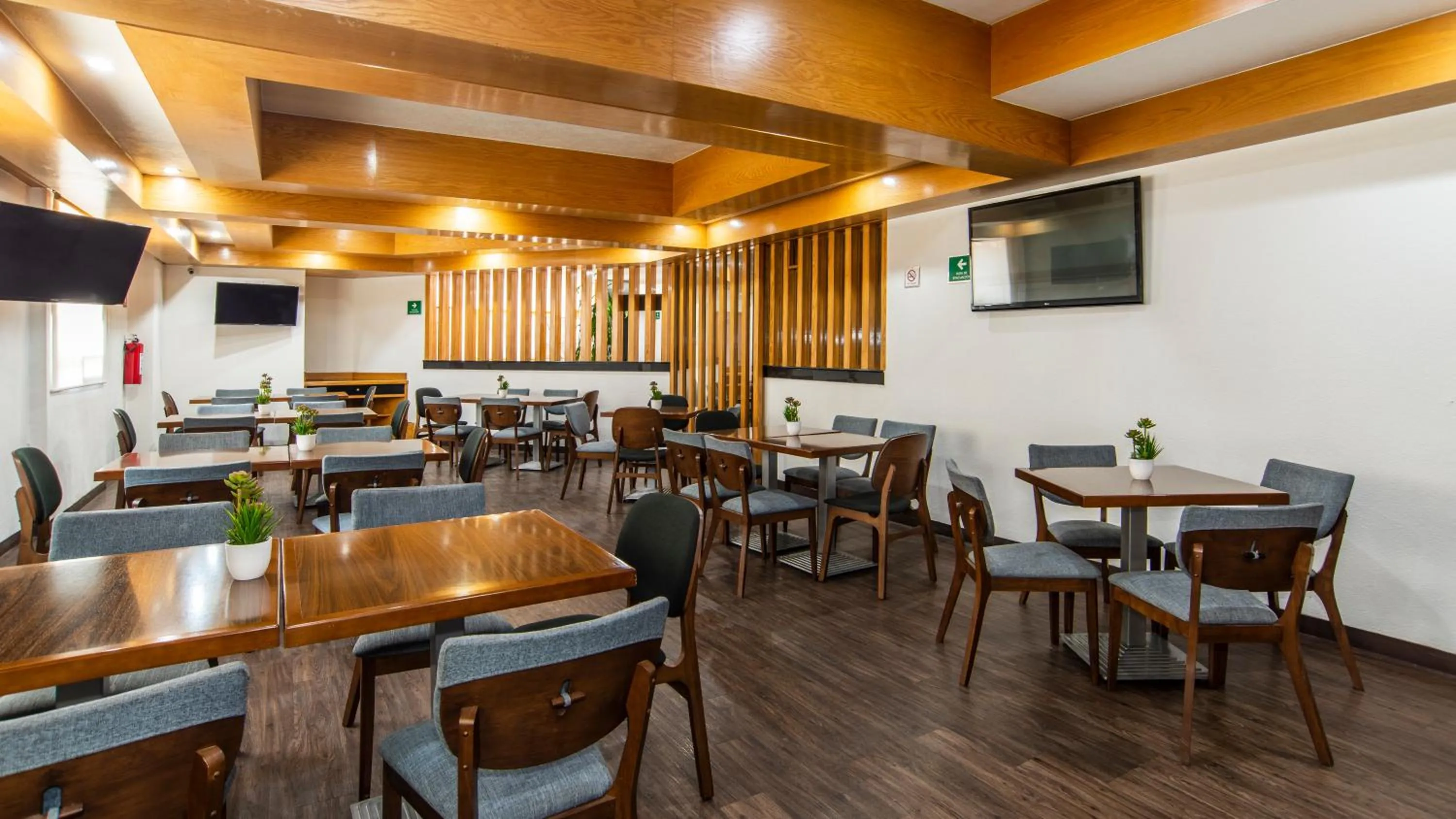 Restaurant/places to eat in Hotel San Lucas