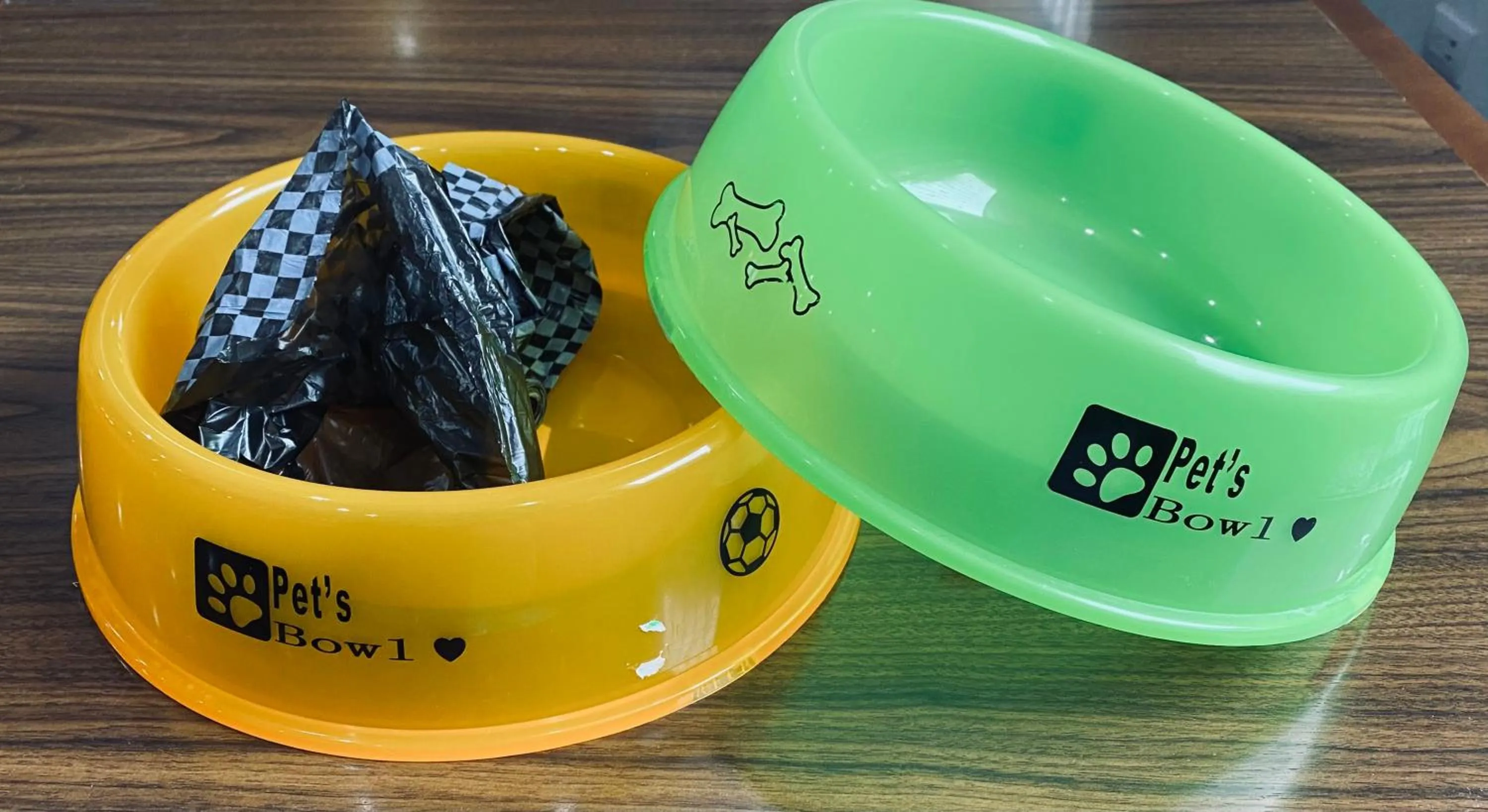 Animals in Hotel San Lucas