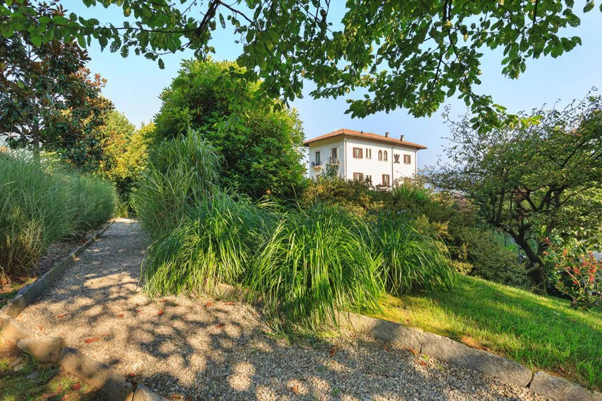 Garden in Hotel Du Parc