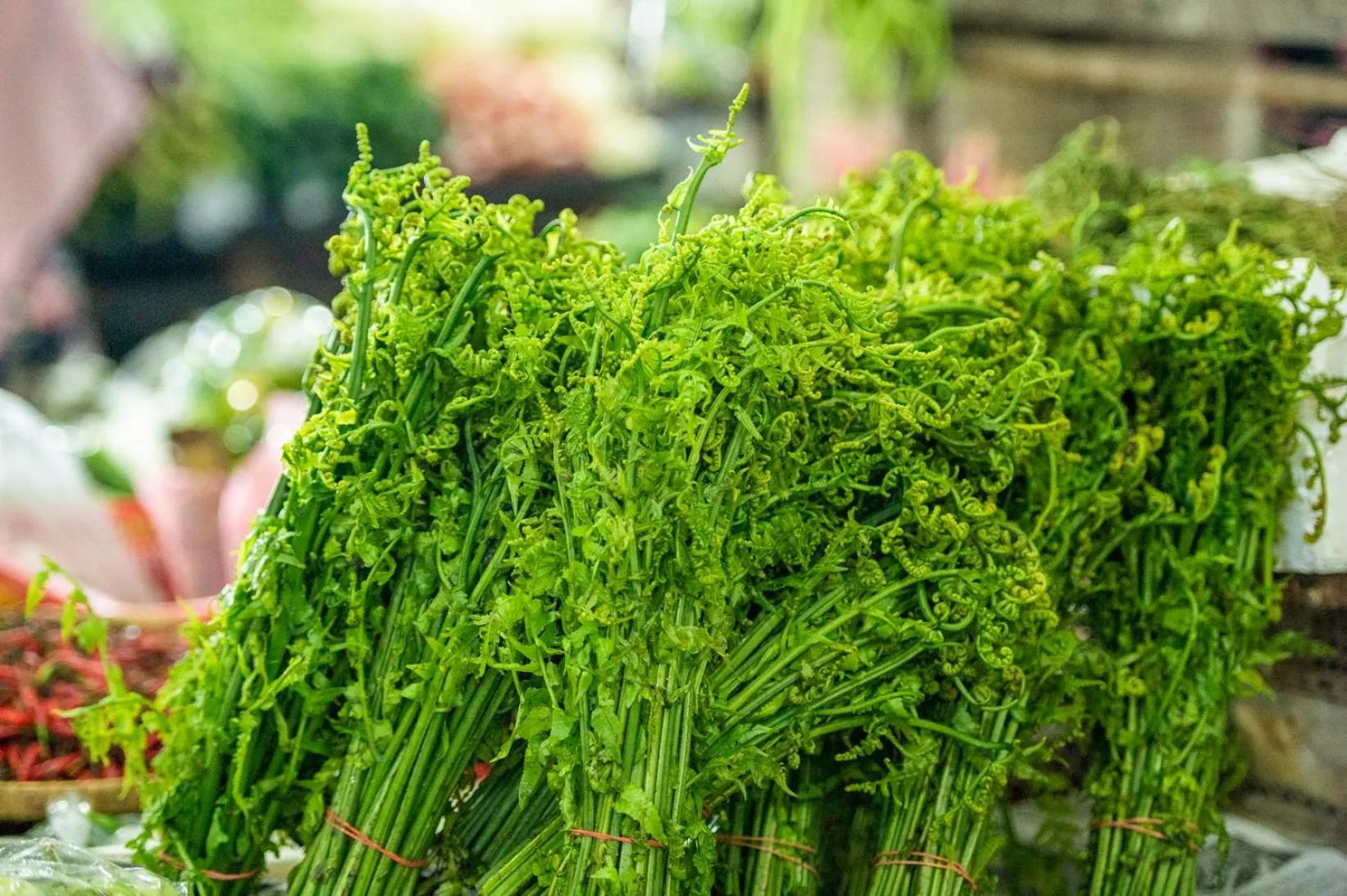 Shopping Area in Pertama Lodge
