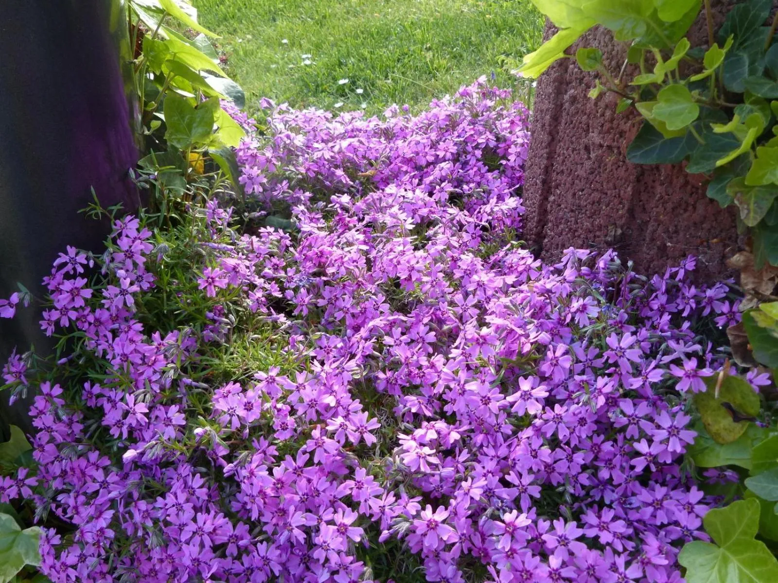 Garden in Hotel Theile garni