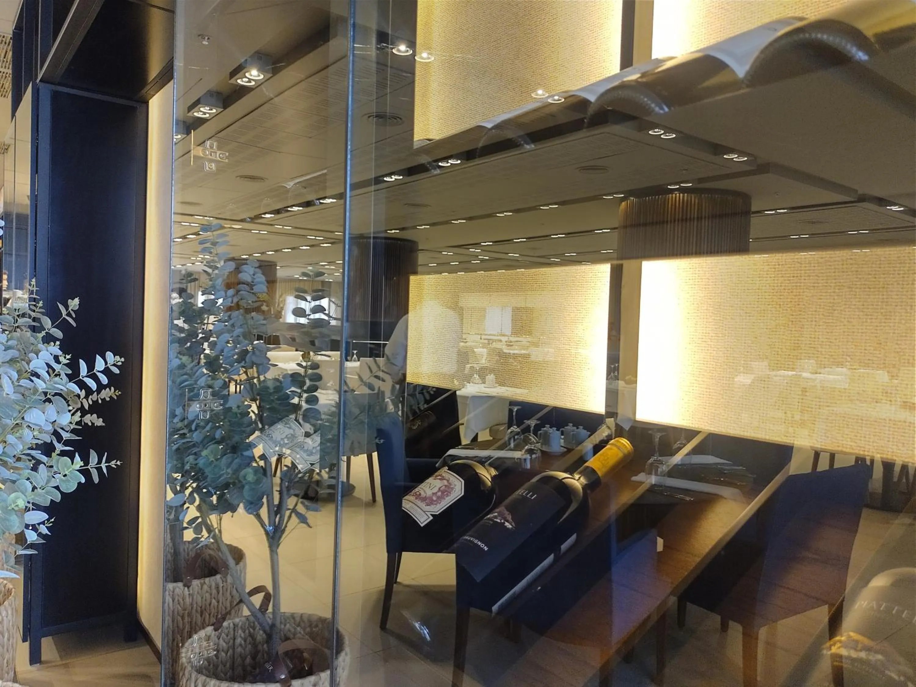 Gran Amérian Carlos V