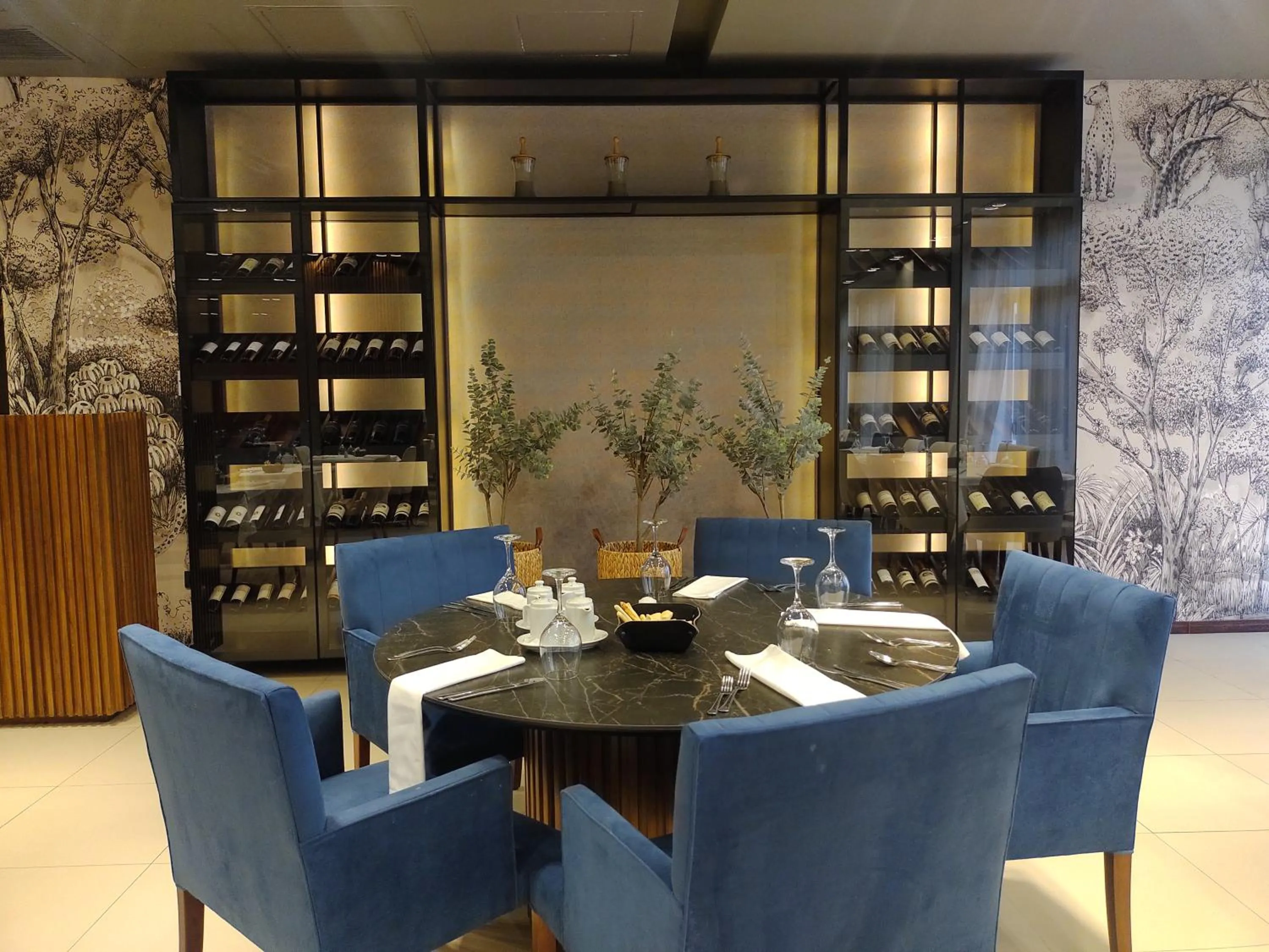 Gran Amérian Carlos V