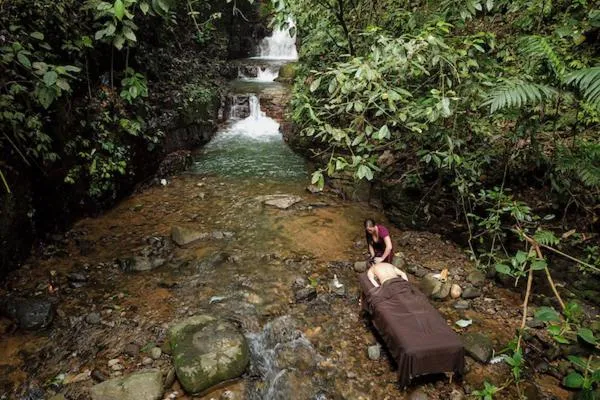 Oxygen Jungle Villas & Spa