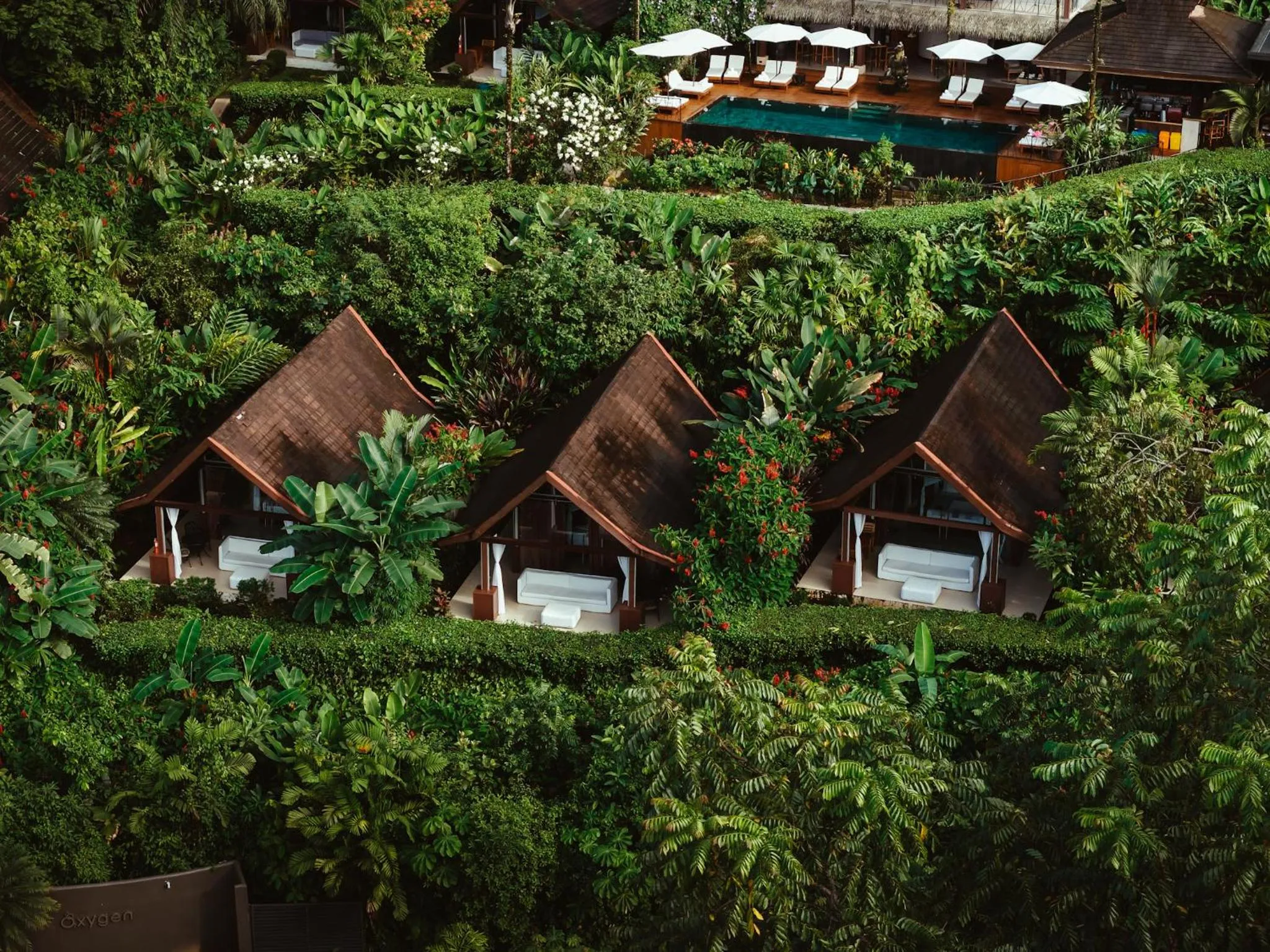 Swimming pool in Oxygen Jungle Villas & Spa