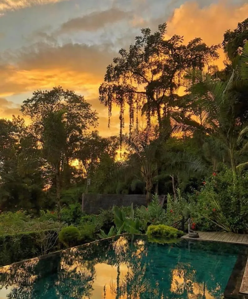 Natural landscape in Oxygen Jungle Villas & Spa