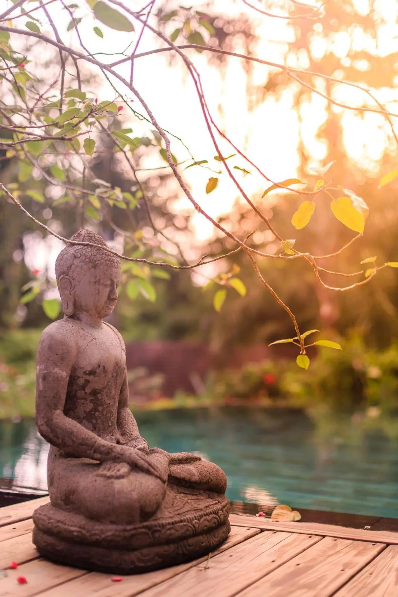 Swimming pool in Oxygen Jungle Villas & Spa