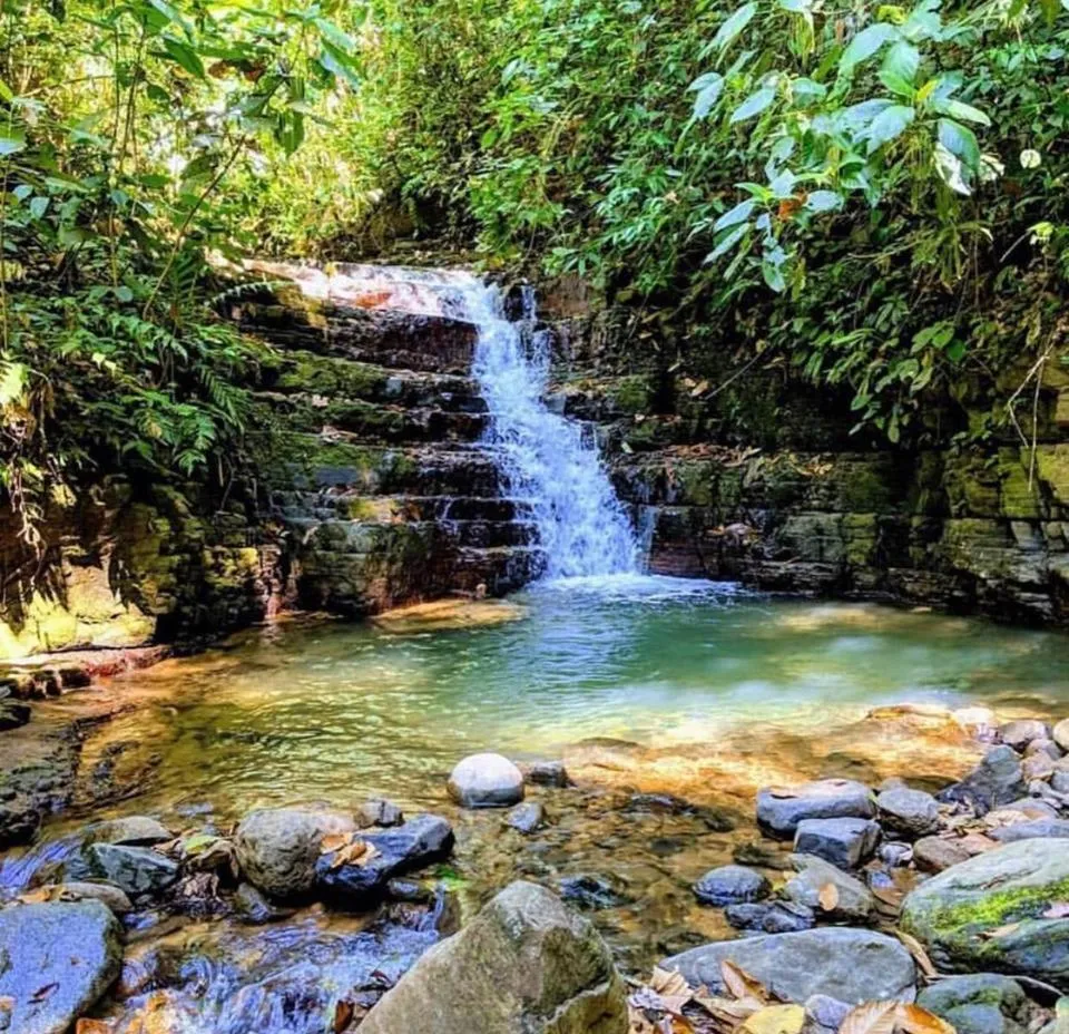 On site in Oxygen Jungle Villas & Spa