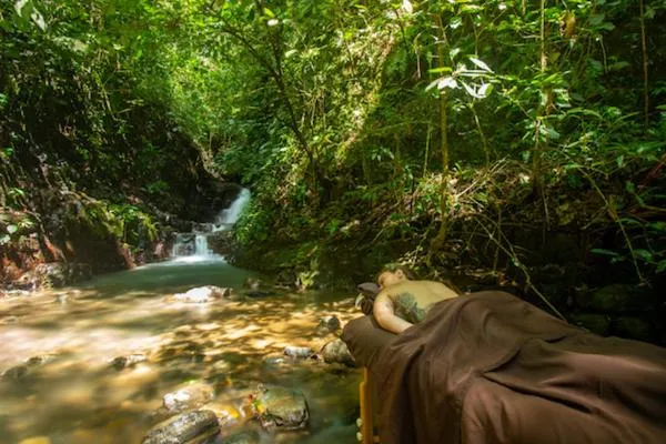 Oxygen Jungle Villas & Spa