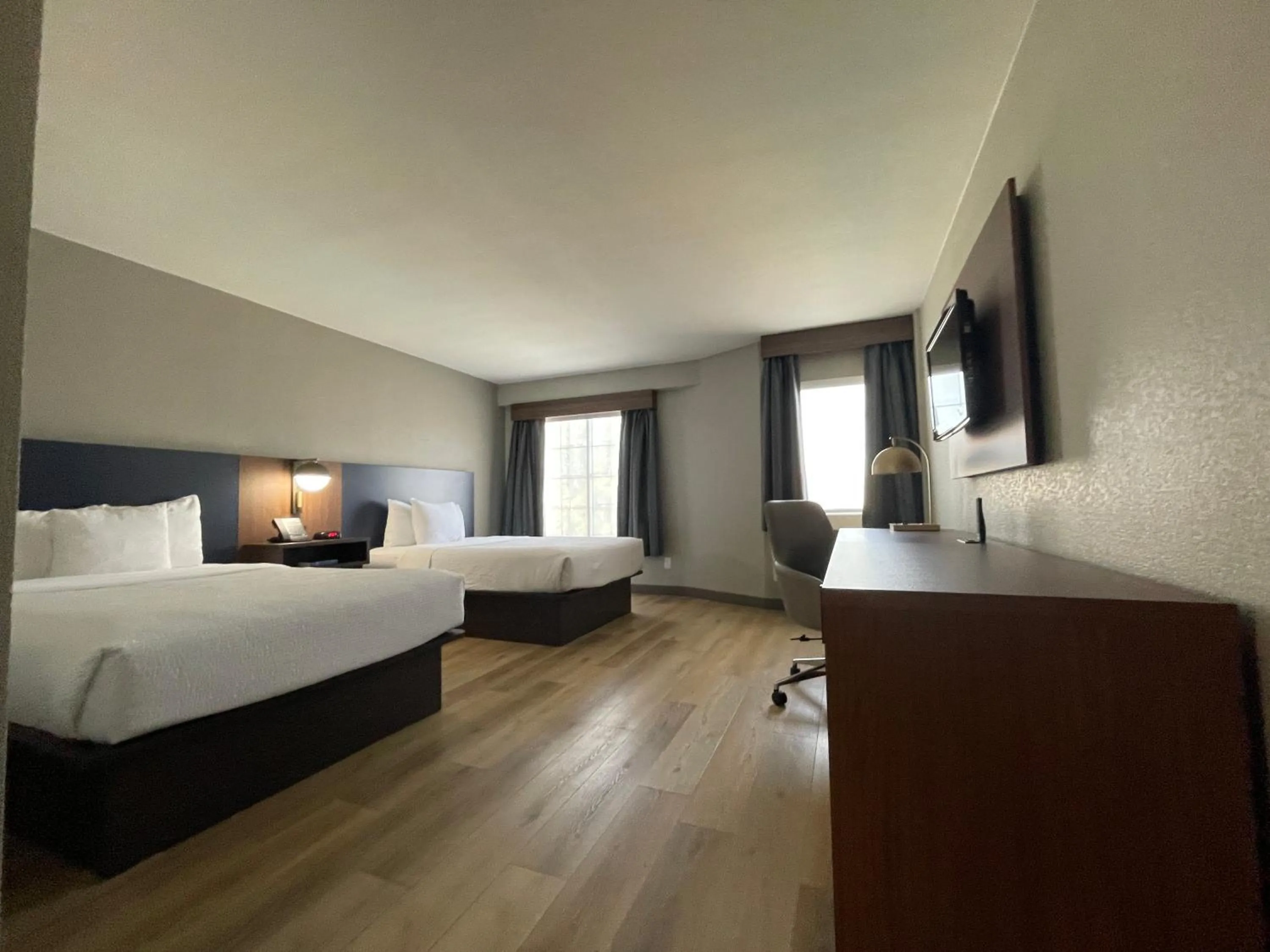 Evening entertainment, Bed in La Quinta by Wyndham Dallas DFW Airport North