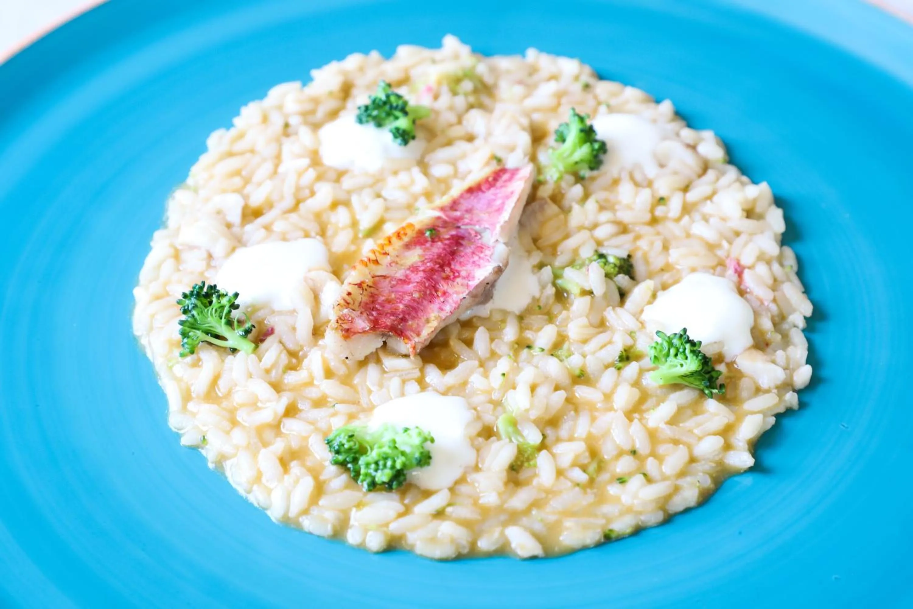 Food close-up in Palazzo Filisio - Regia Restaurant