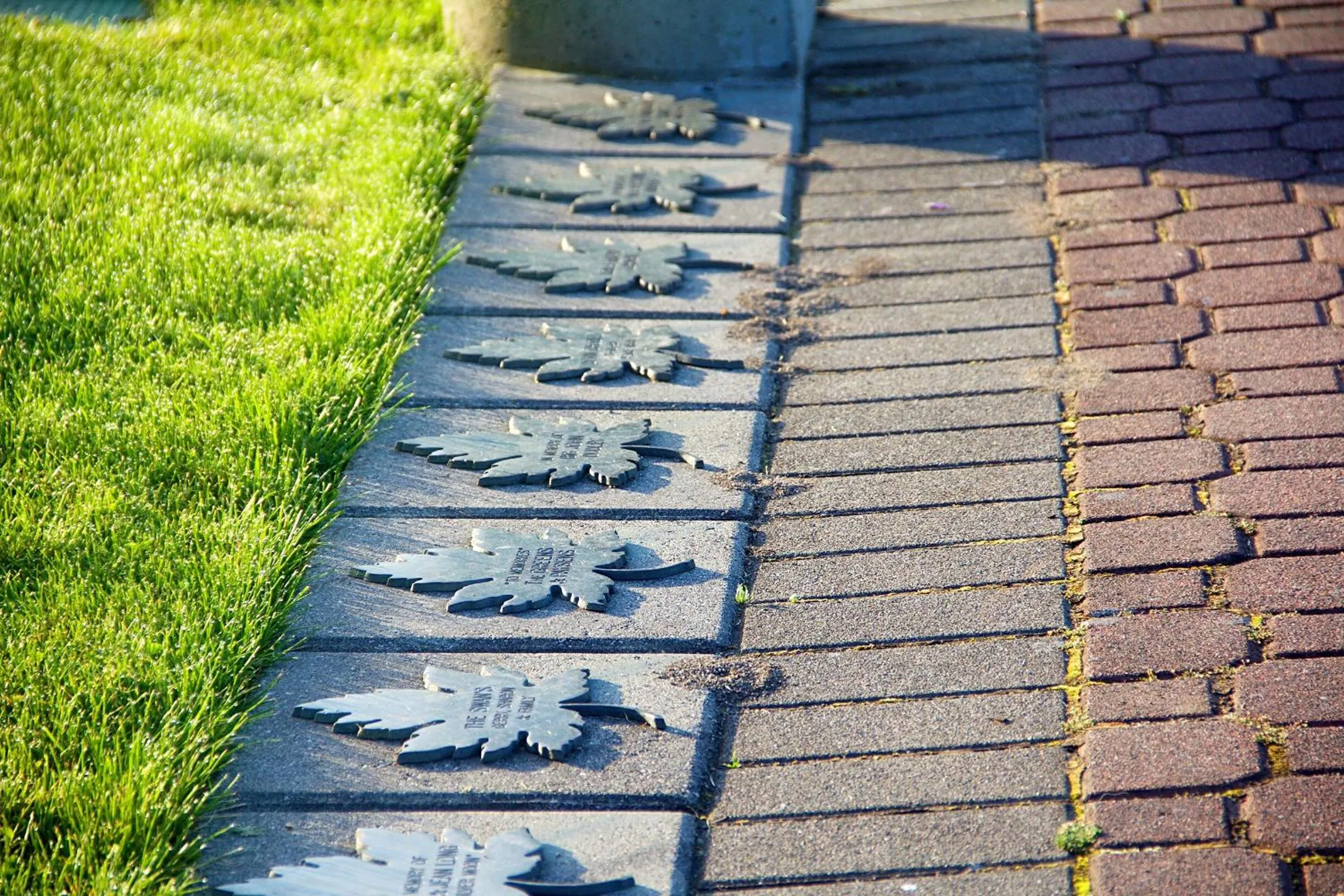 Neighbourhood in Star of the Sea guest house