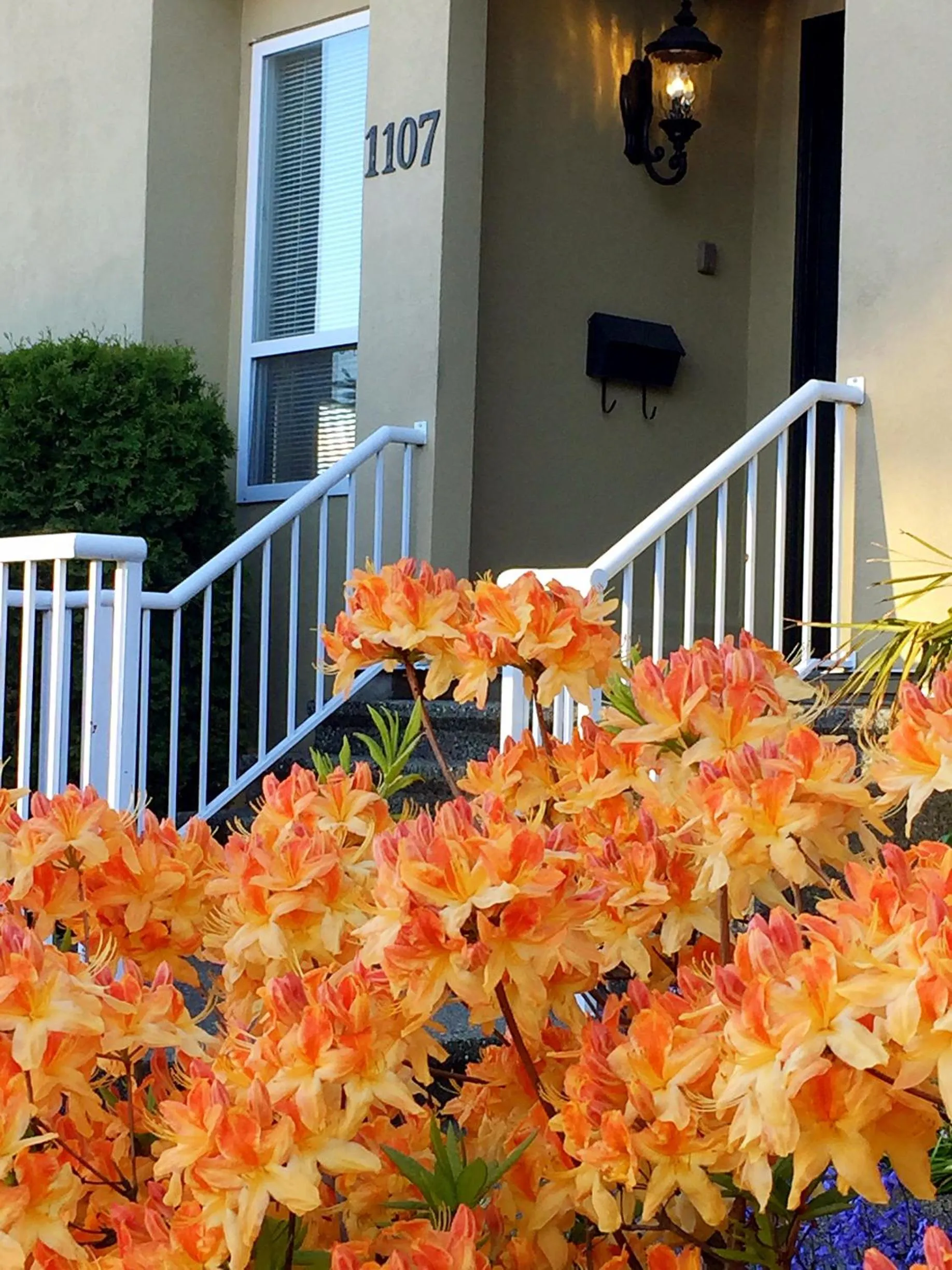 Property building in Star of the Sea guest house