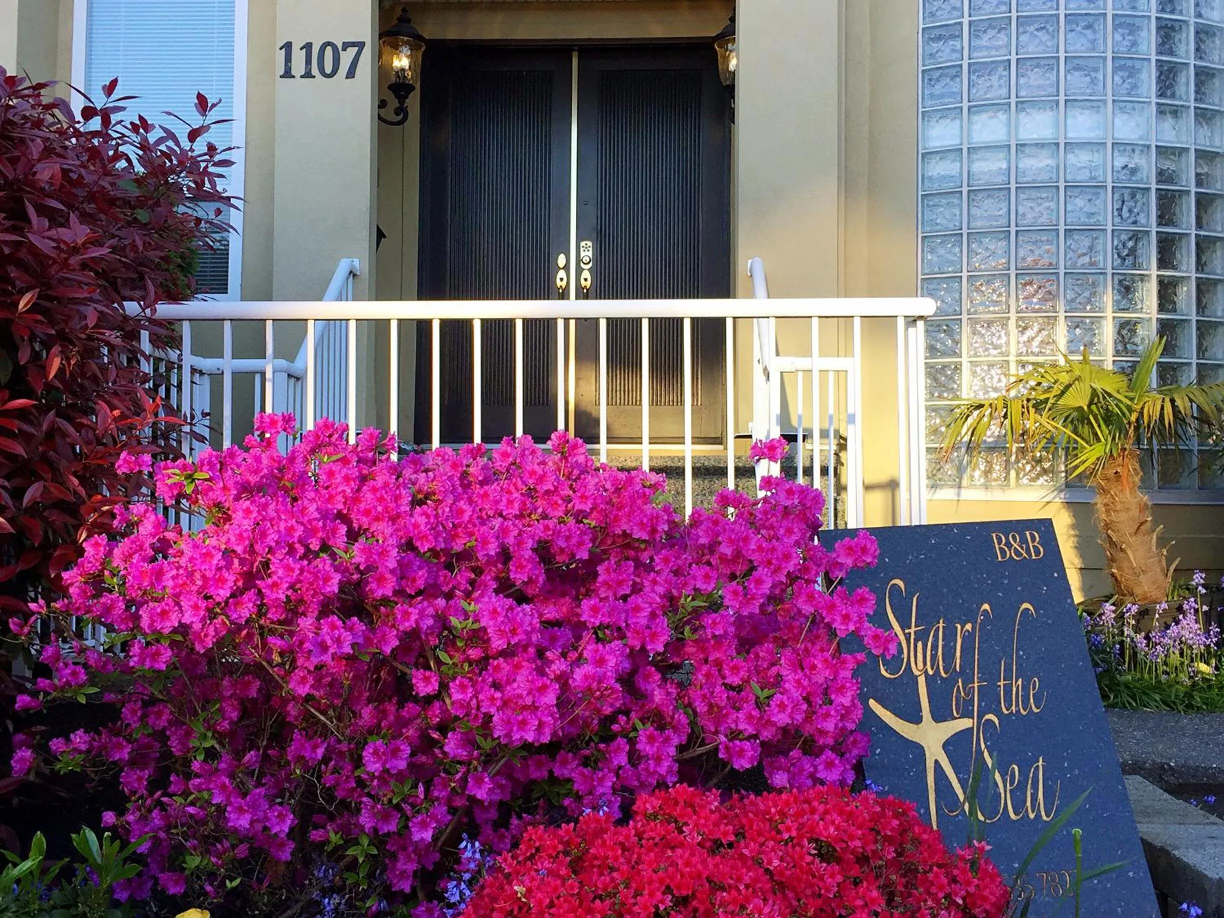 Property building in Star of the Sea guest house