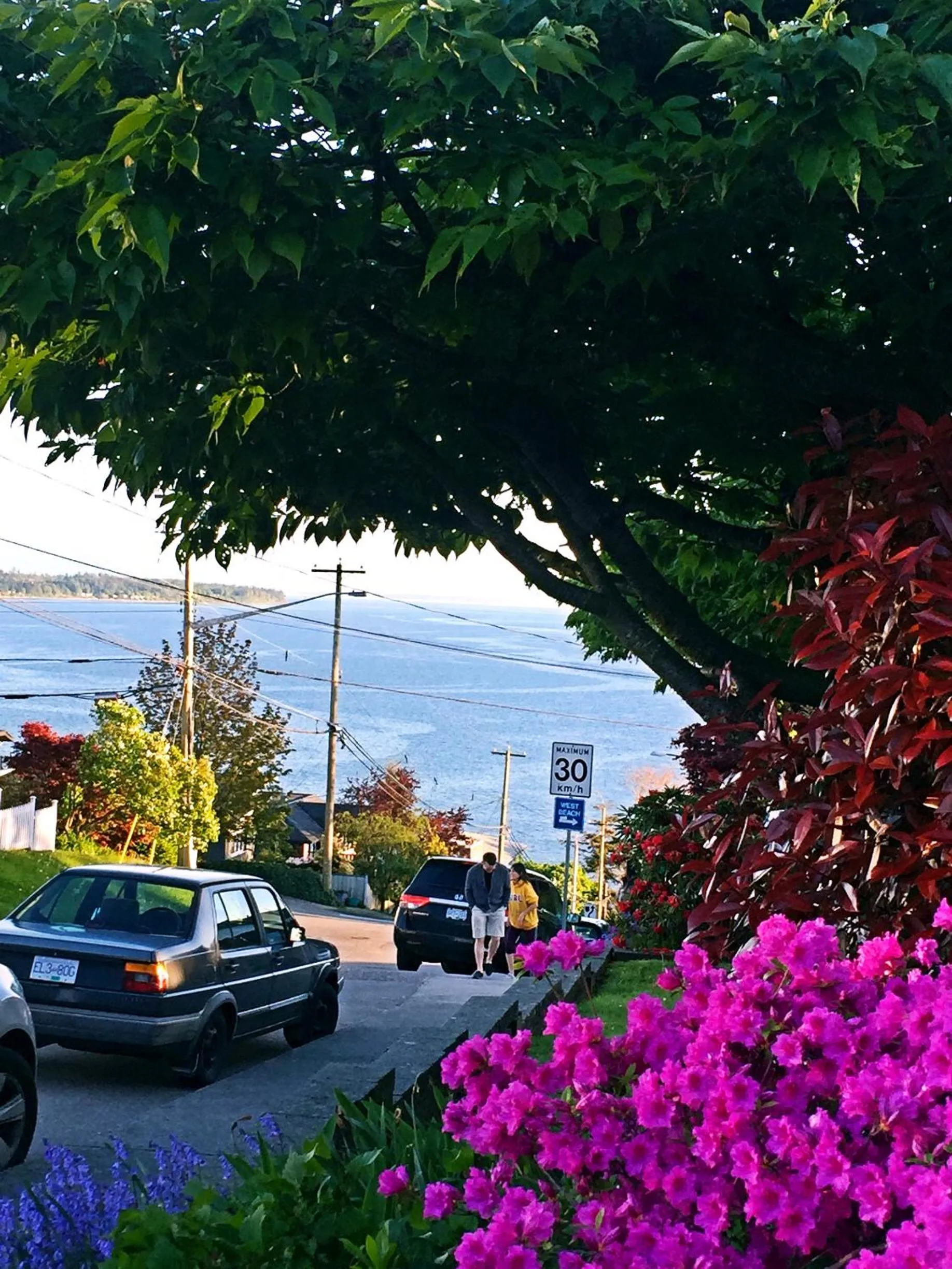 Neighbourhood in Star of the Sea guest house