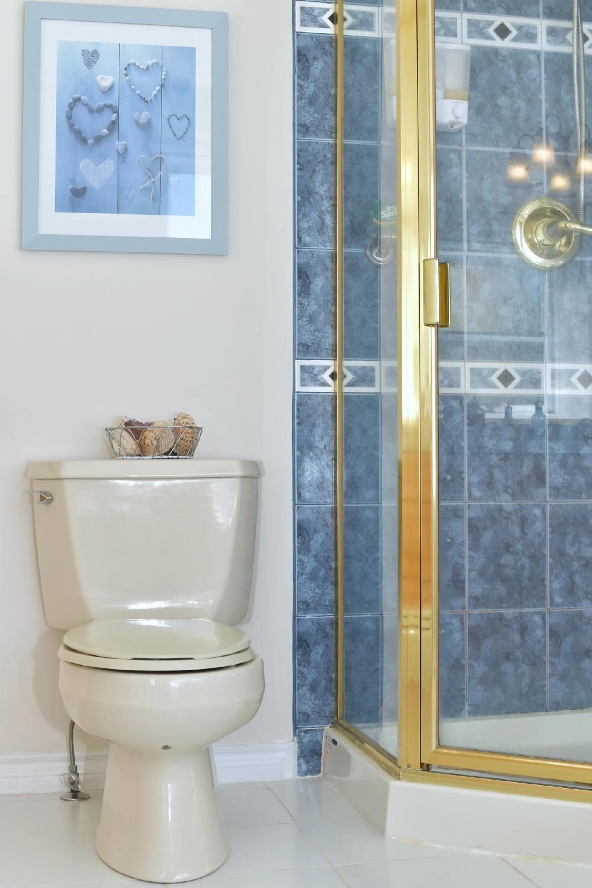 Shower in Star of the Sea guest house