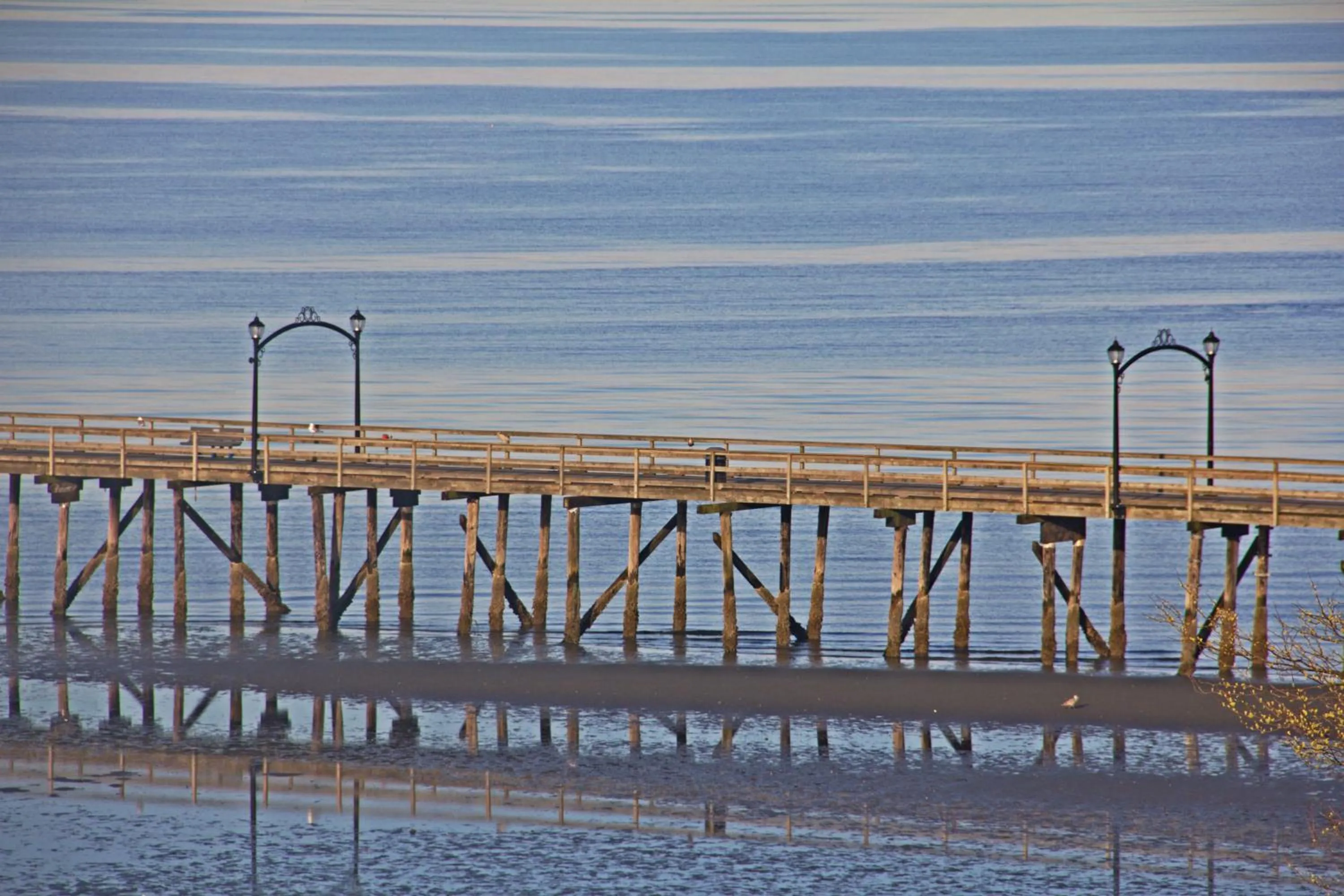 Neighbourhood in Star of the Sea guest house