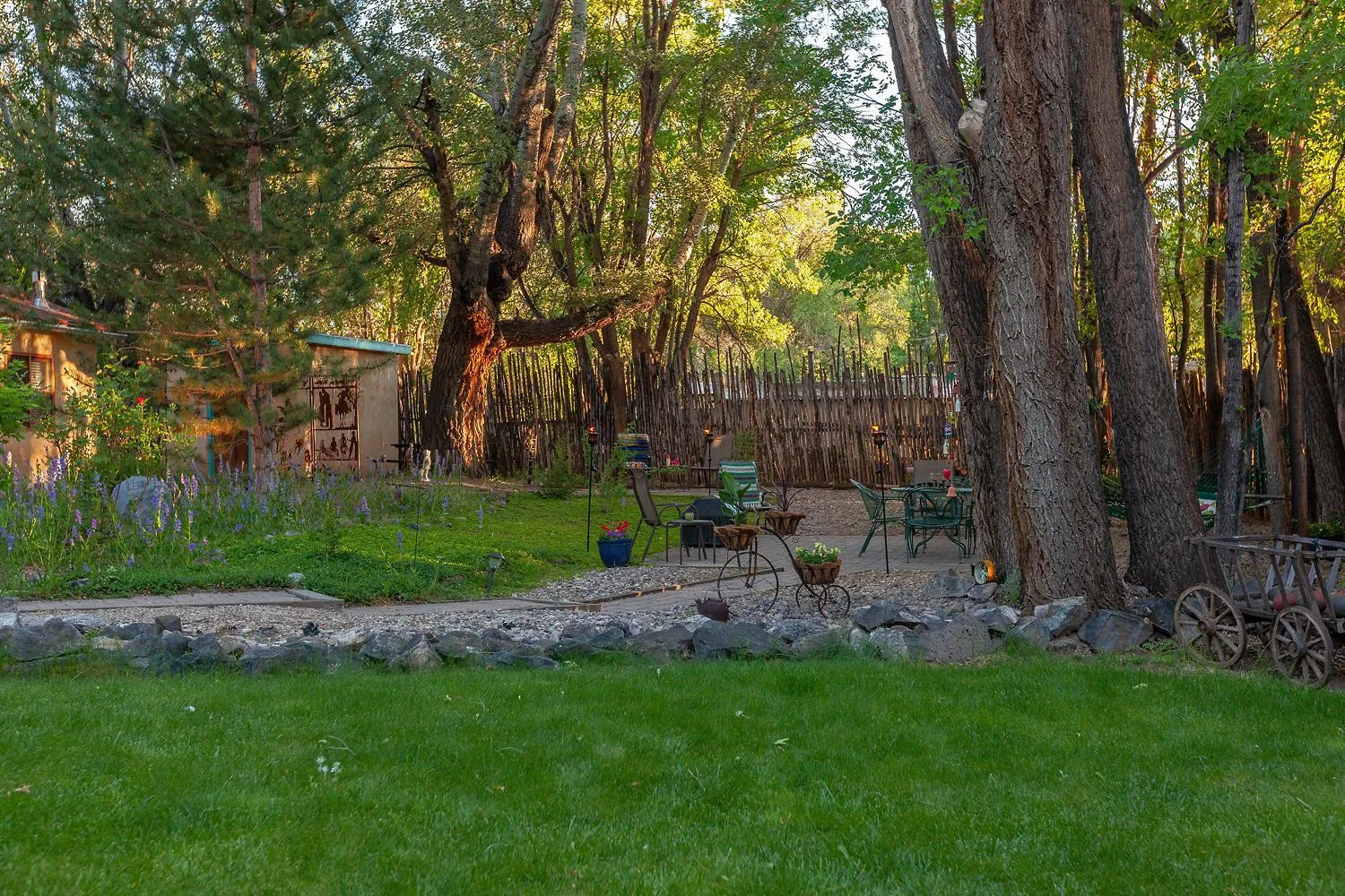 Natural landscape in Dreamcatcher B&B