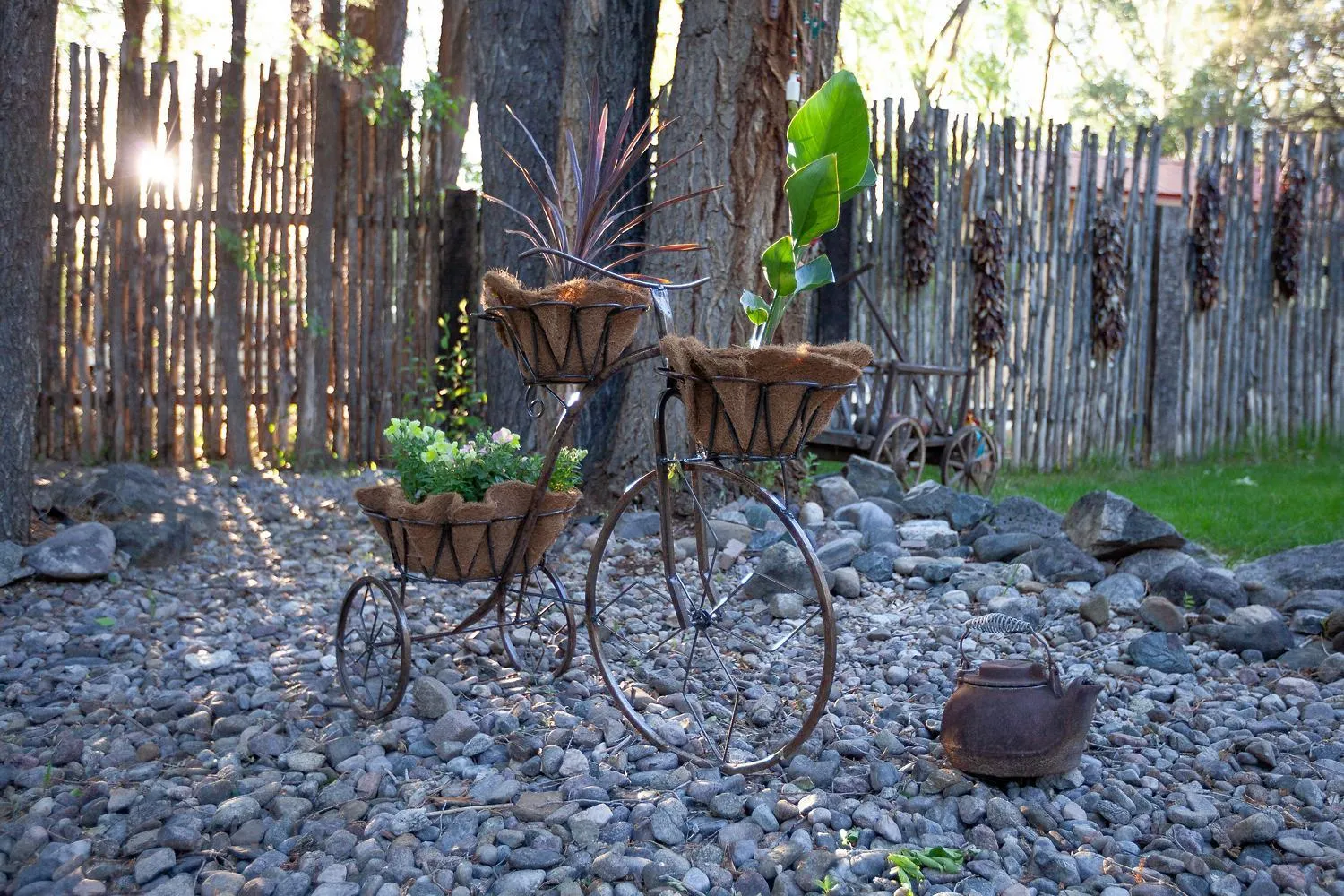 Garden in Dreamcatcher B&B