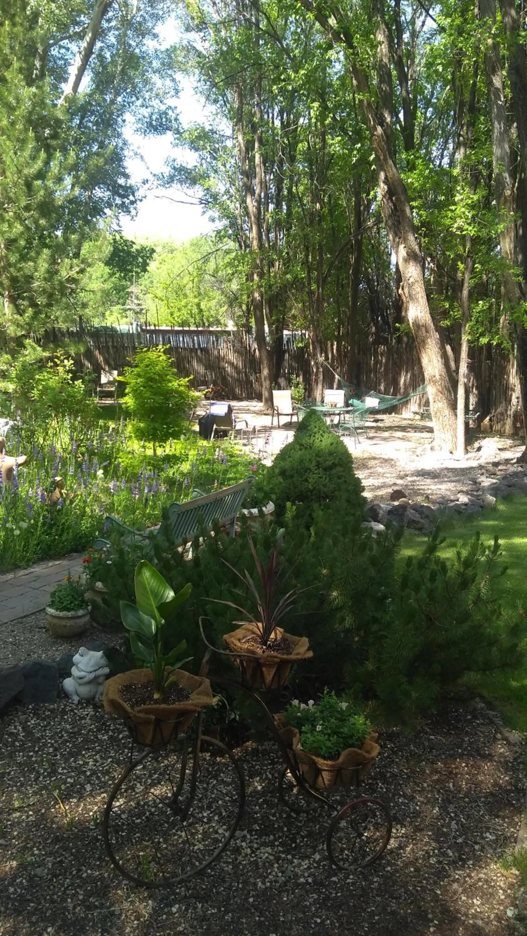 Patio in Dreamcatcher B&B