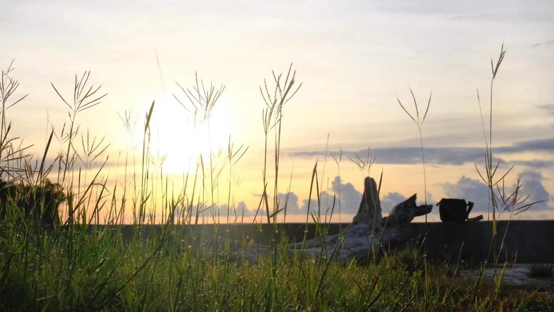 Day in Jelly Sea Resort