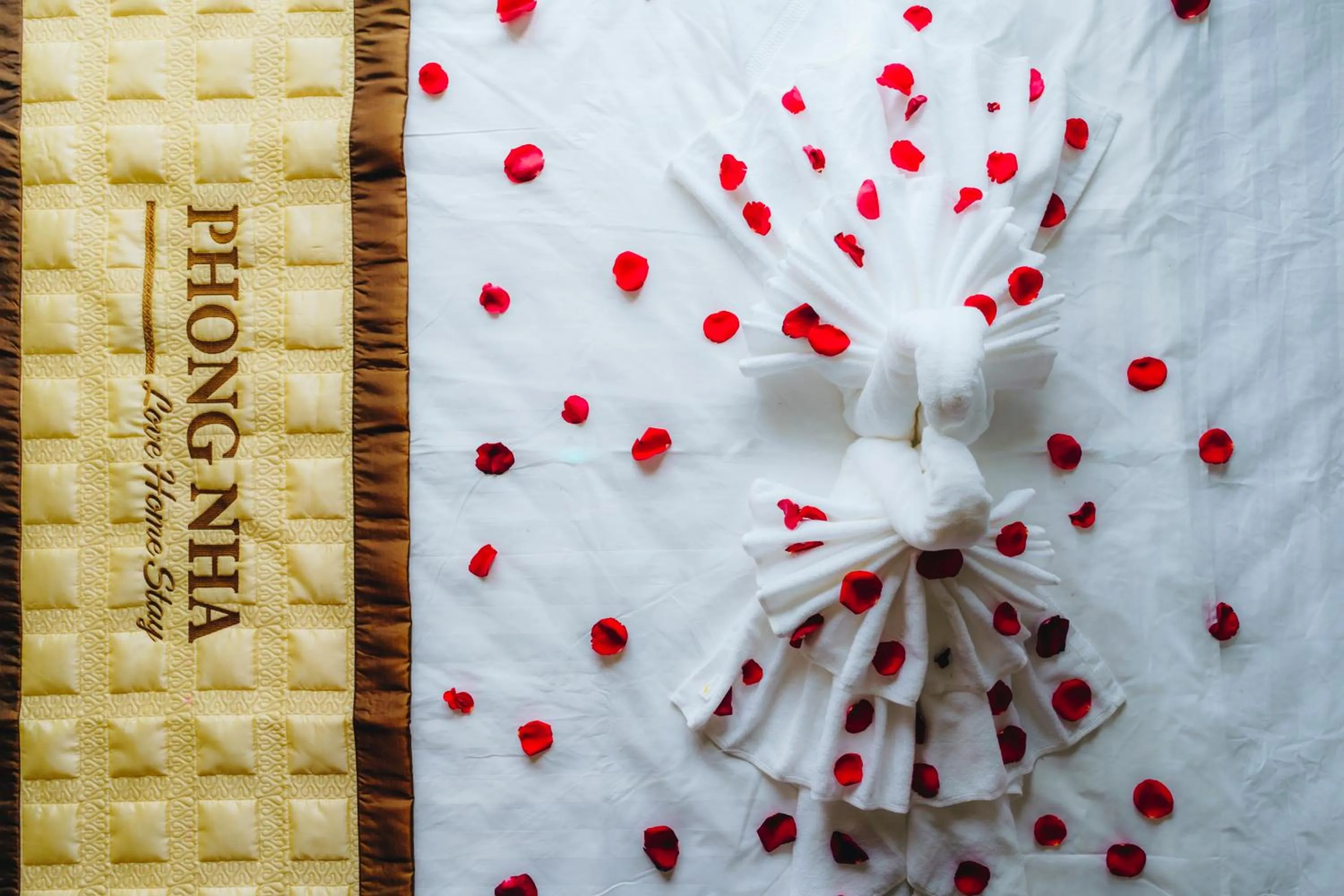 Property logo or sign in Phong Nha Love Homestay