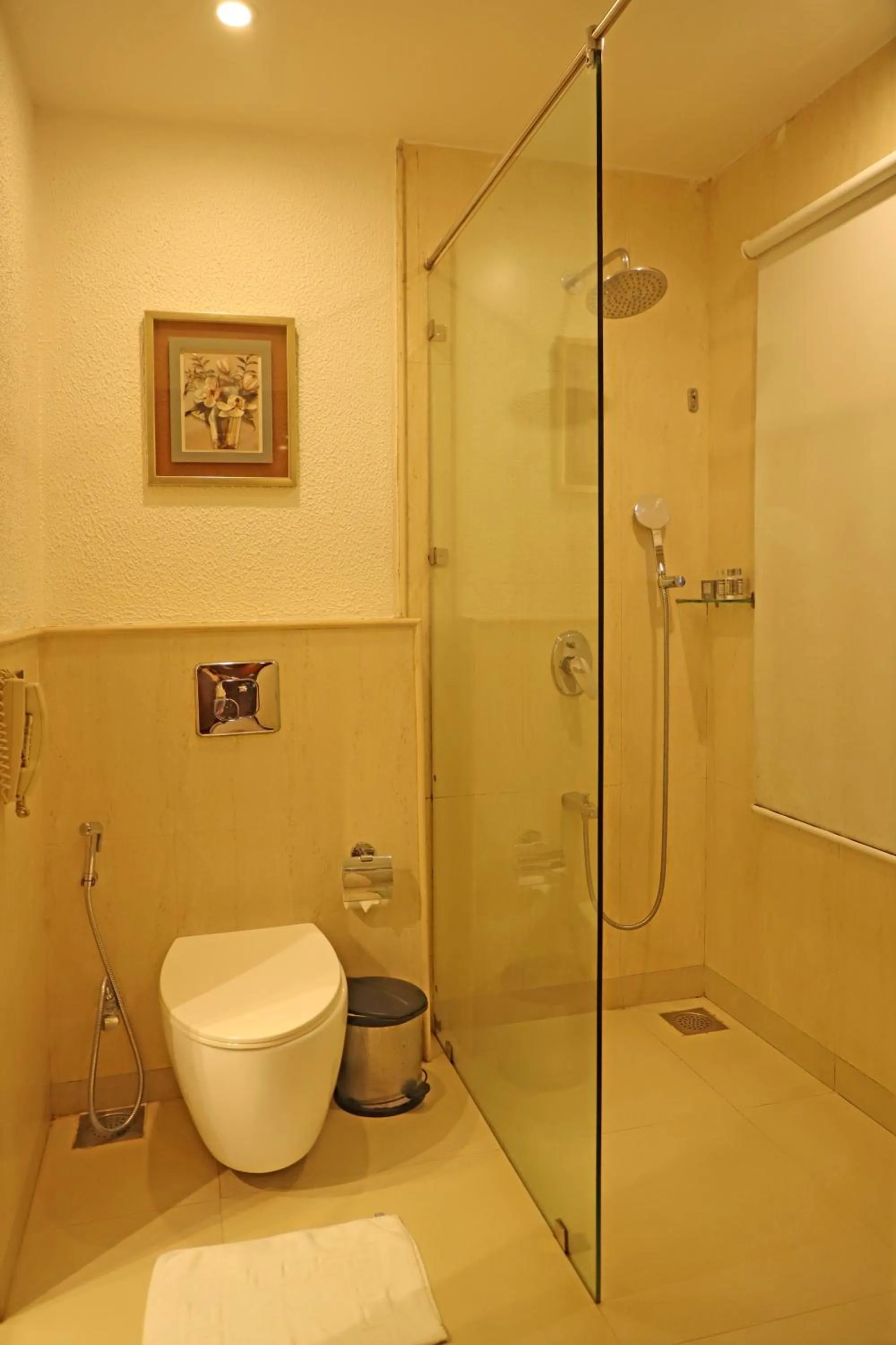 Shower in Golden Tulip Candolim, Goa