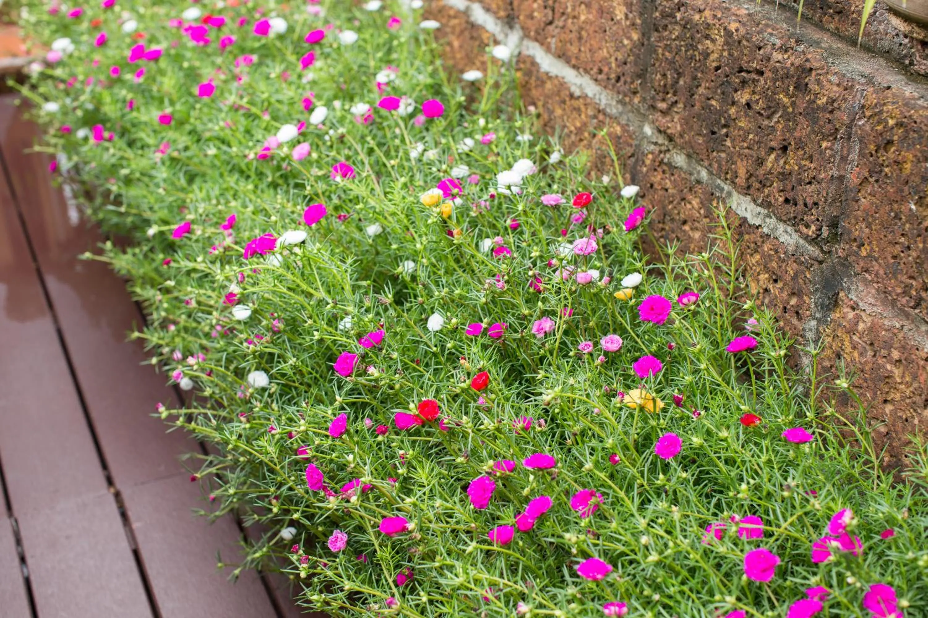 Baan Are Gong Riverside Homestay