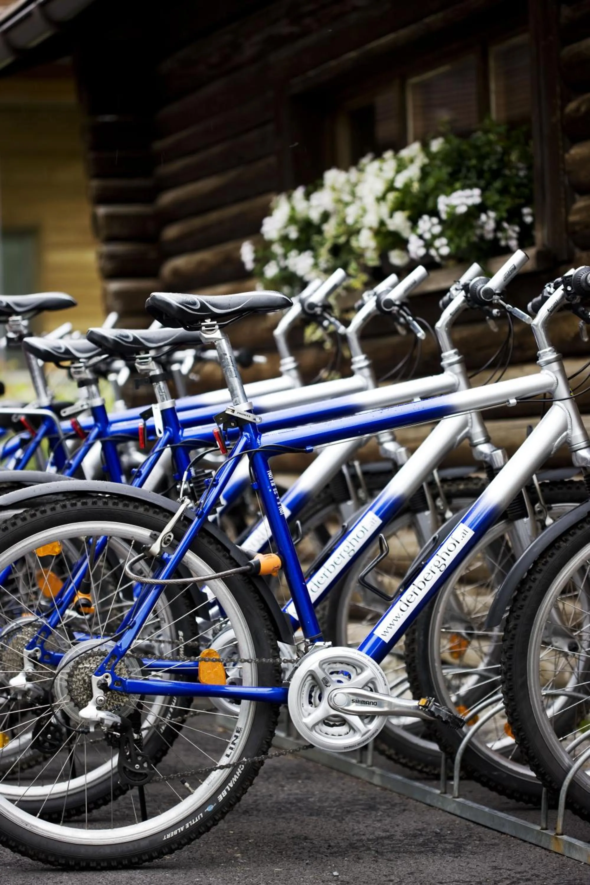 Cycling in Hotel Berghof