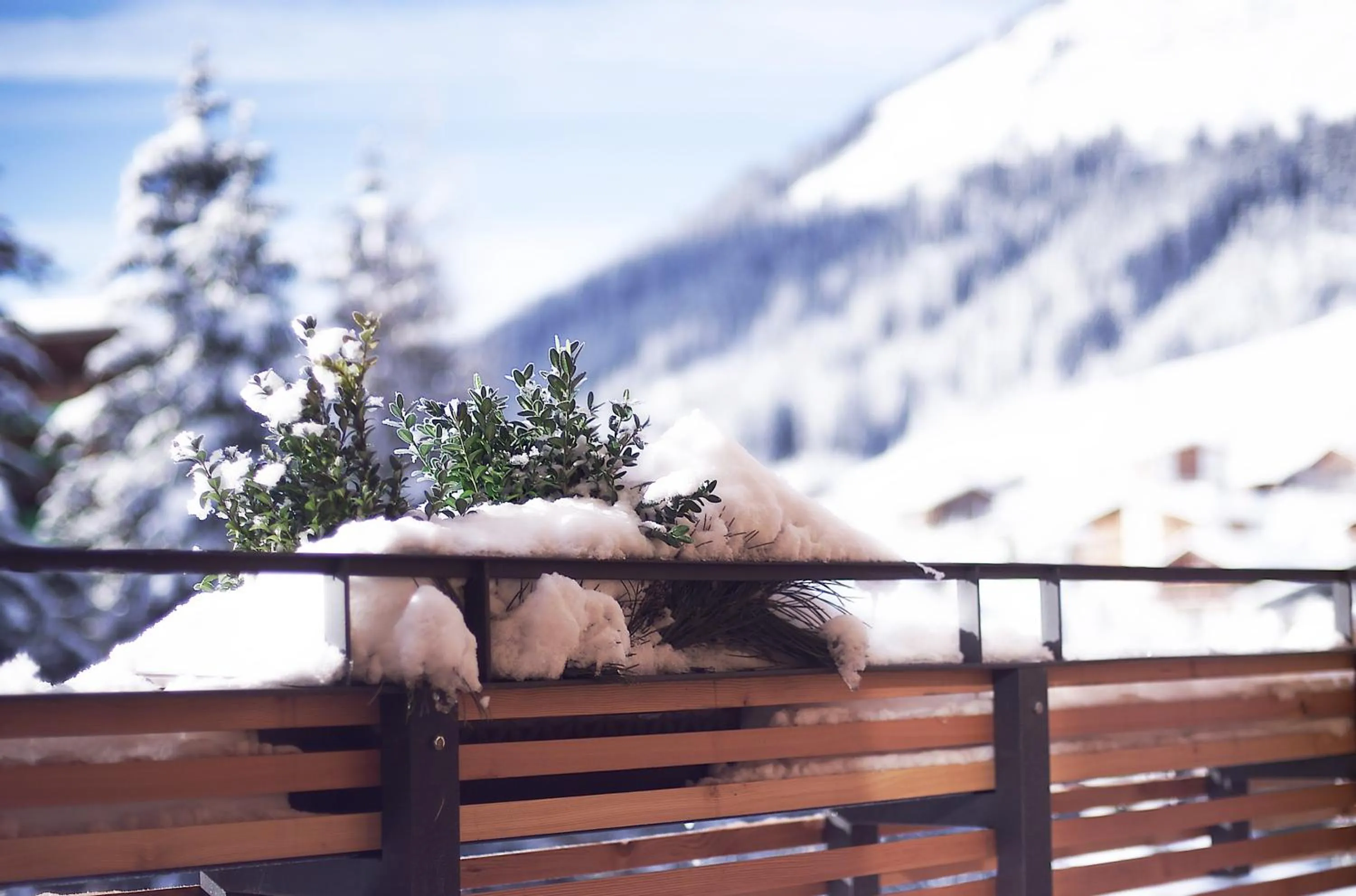 Winter in Hotel Berghof