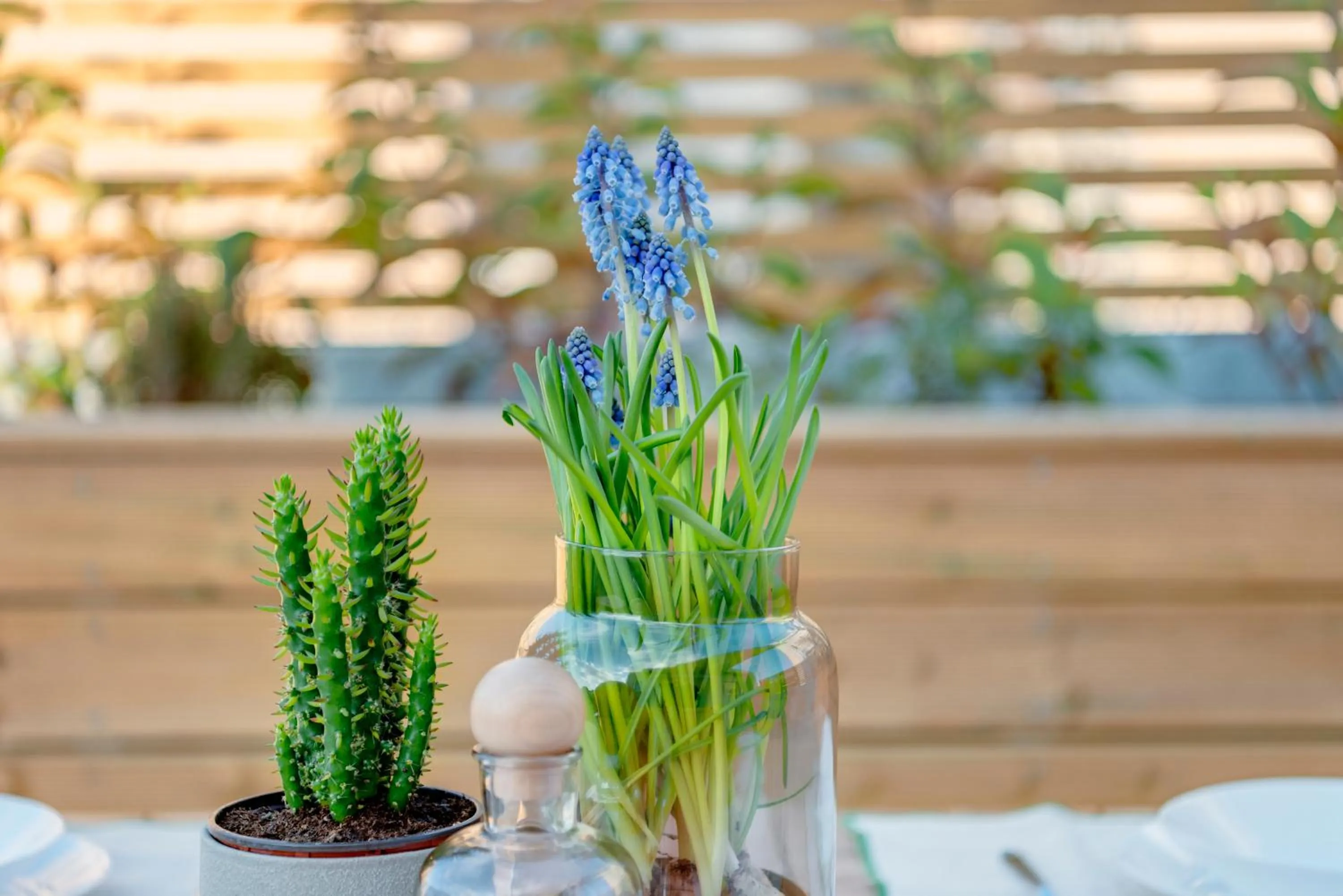 Maryflower Premium Apartments Piraeus