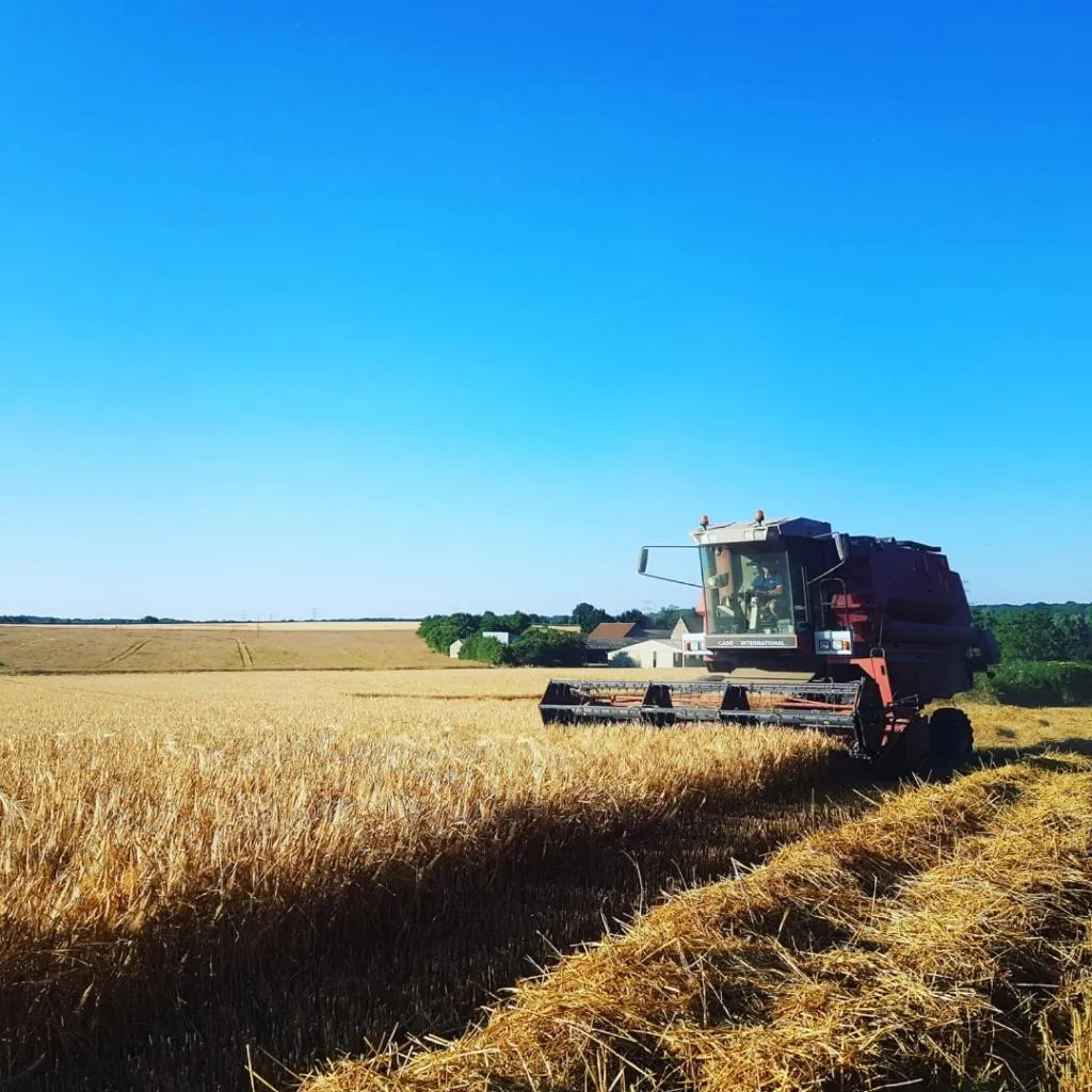 Natural landscape in Fonsegre Chambres d'Hôtes