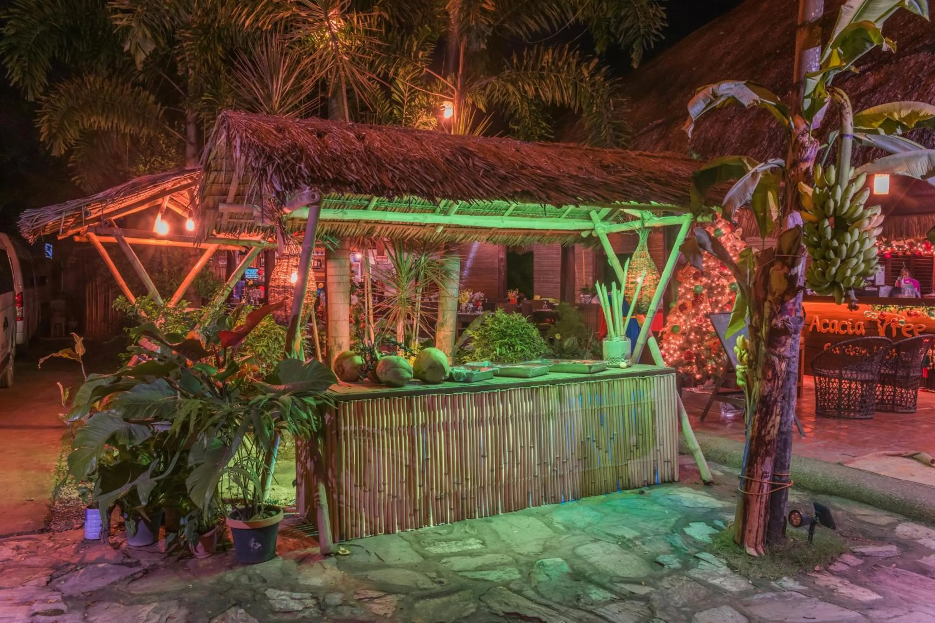 Night in Acacia Tree Garden Hotel