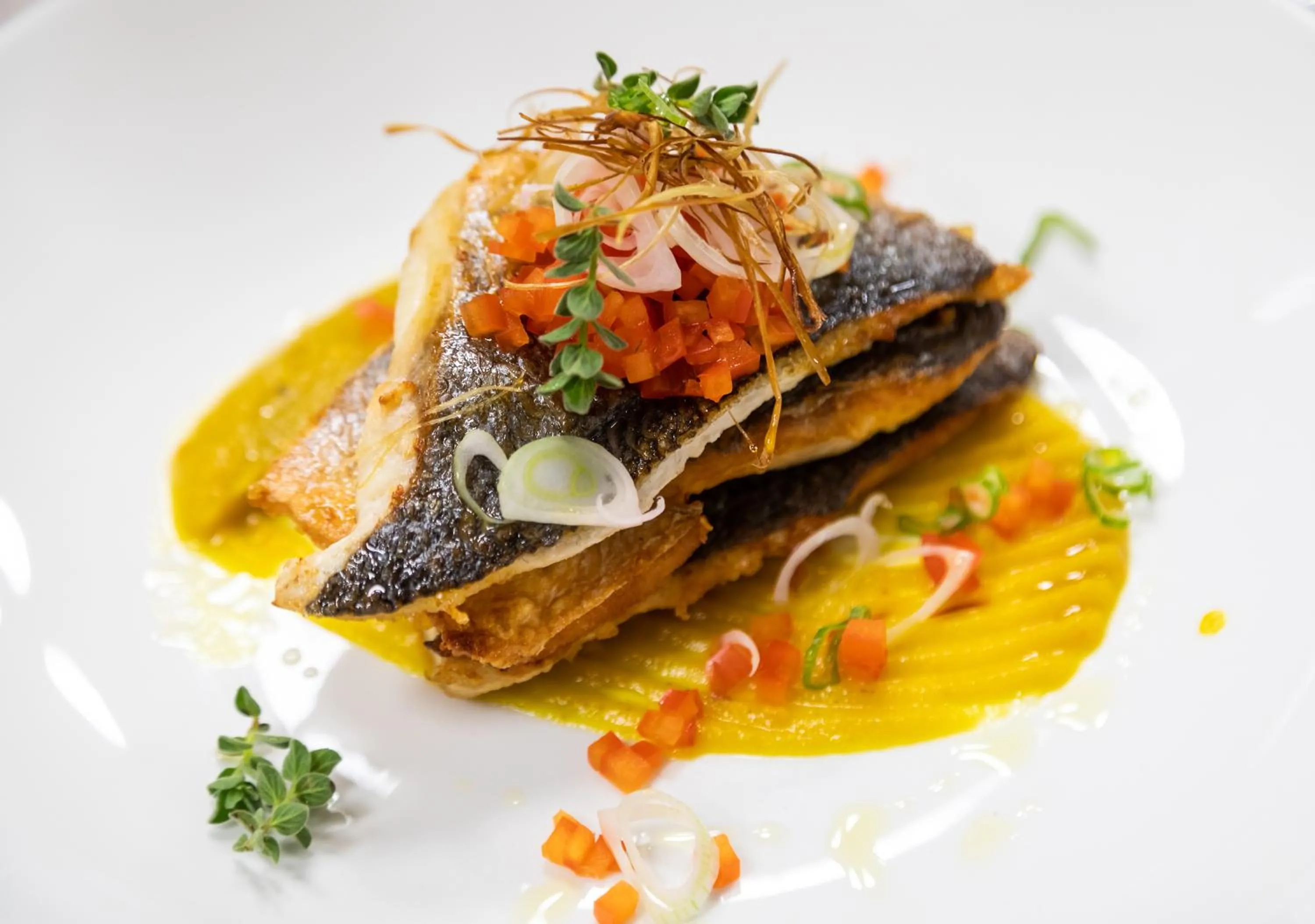 Restaurant/places to eat in White Olive Elite Laganas