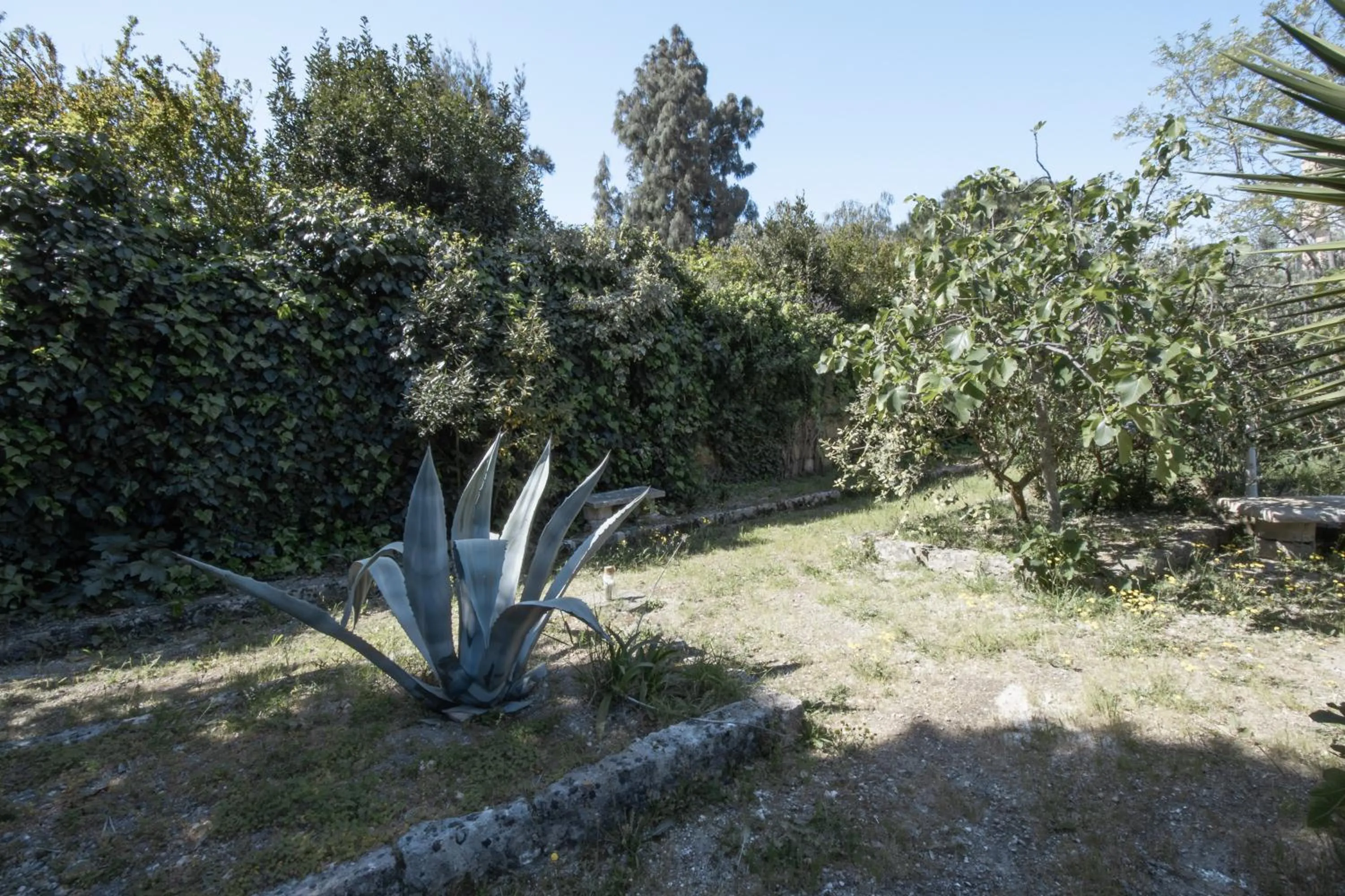 Spring in Le Tre Sorelle