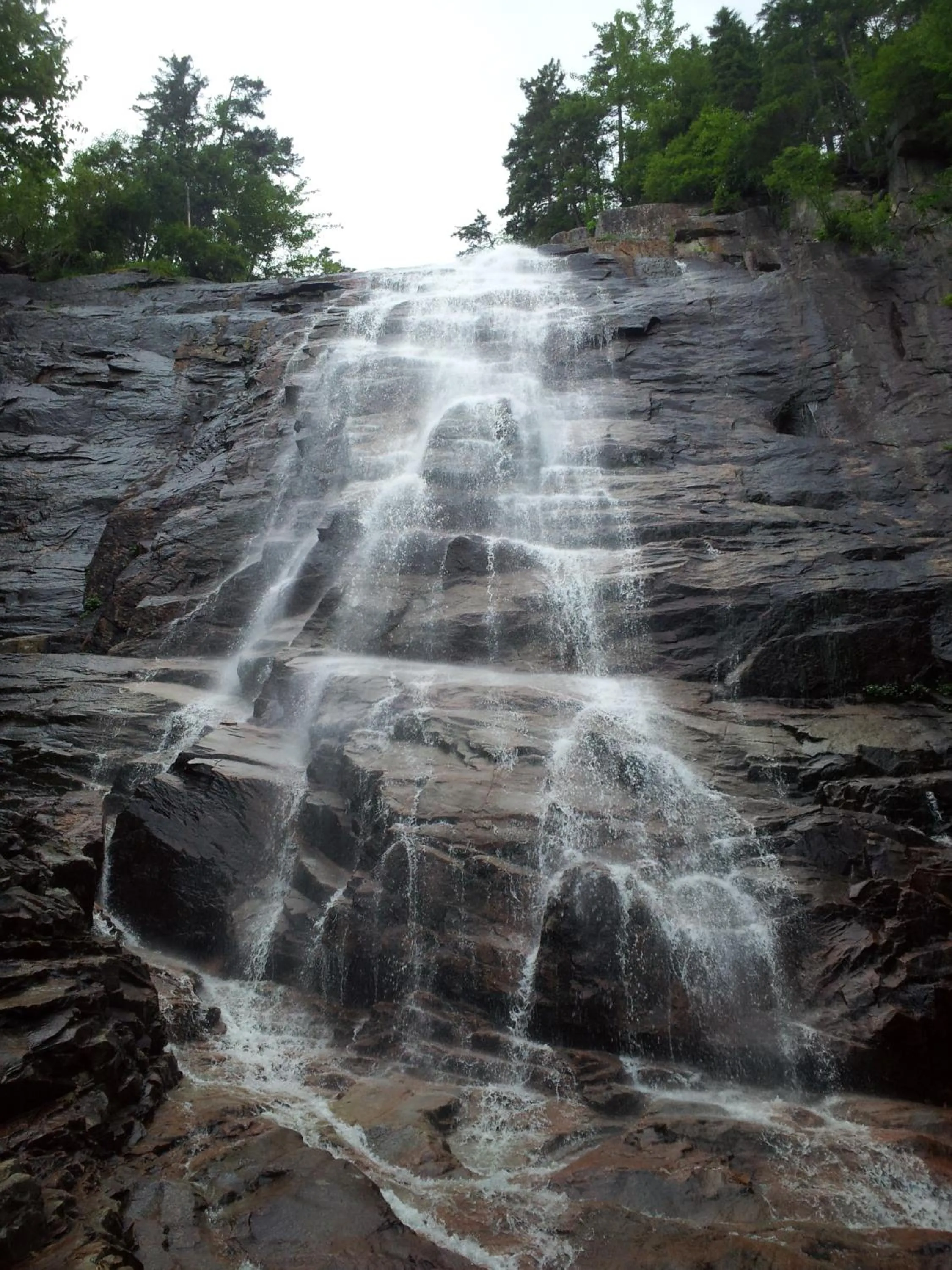 Hiking in Carlson's Lodge