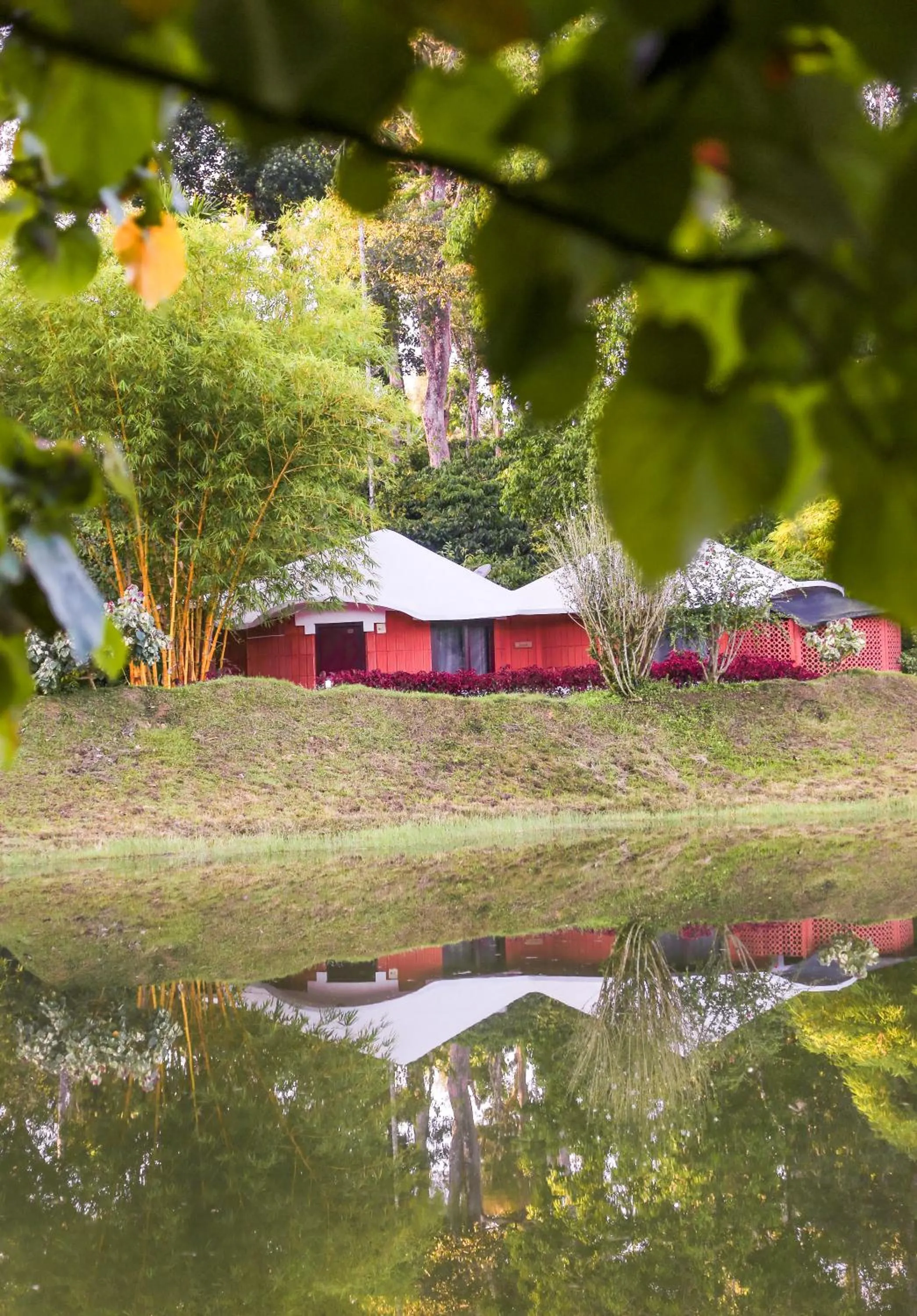 Natural landscape in Kadkani River Resort Coorg