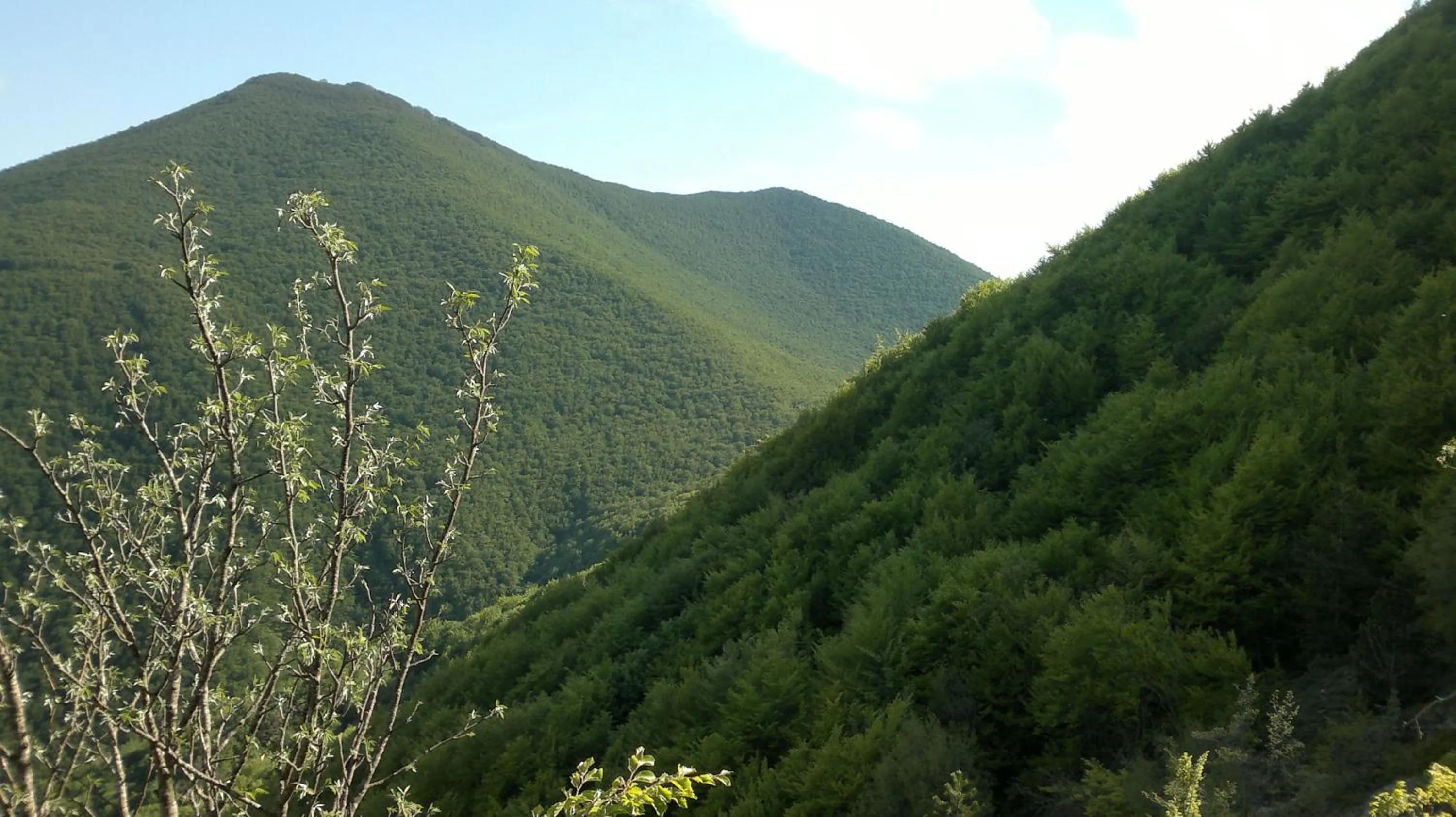 Cycling in Albergo Corradetti