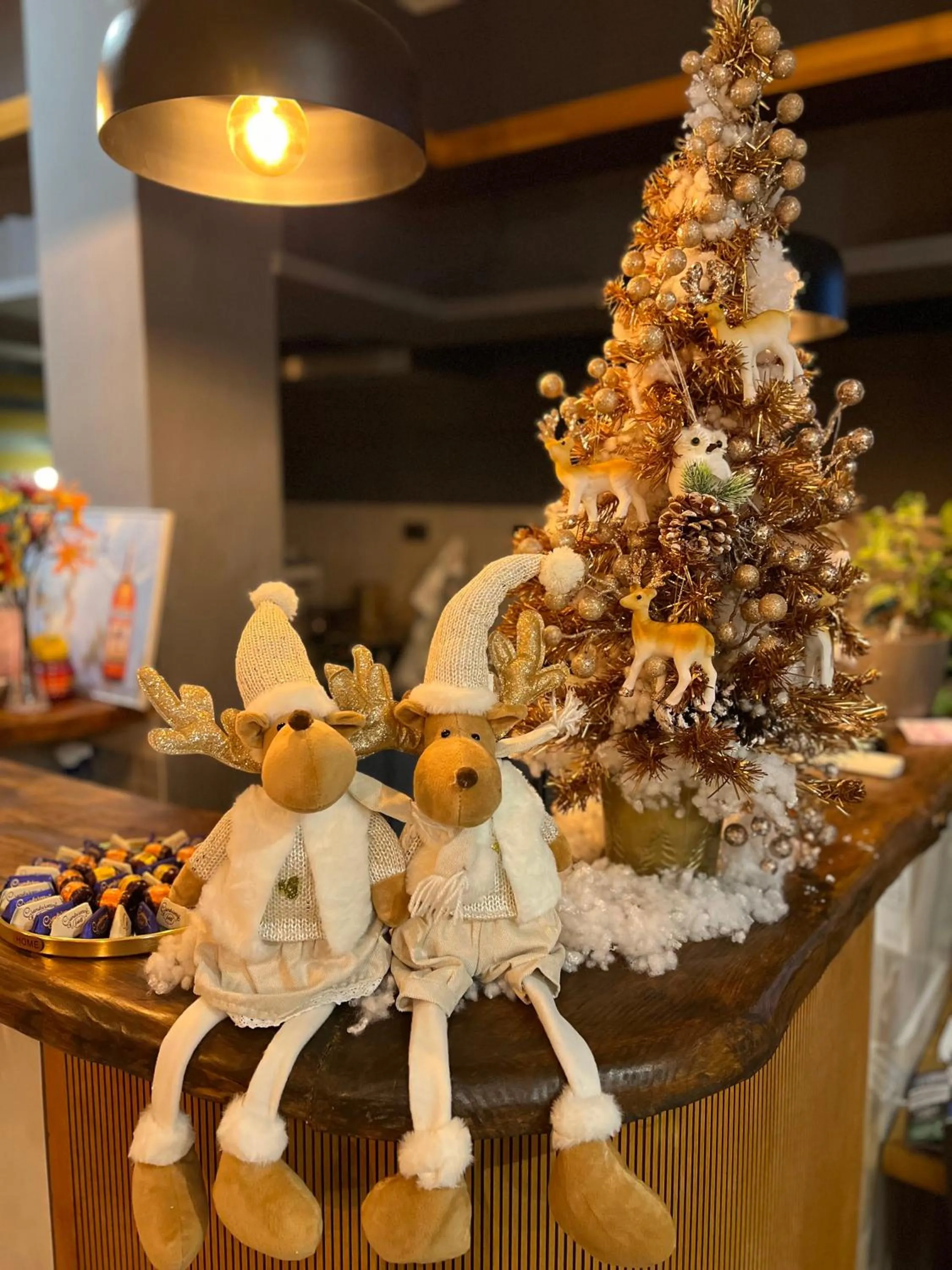 Text overlay in Family Hotel Ring & Thermal