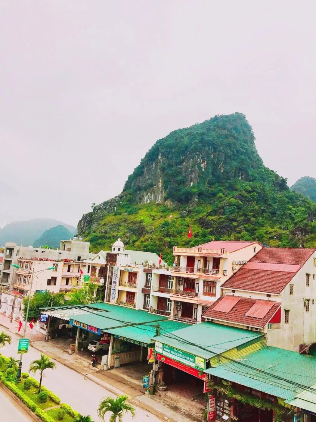 City view in Golden Forest Homestay