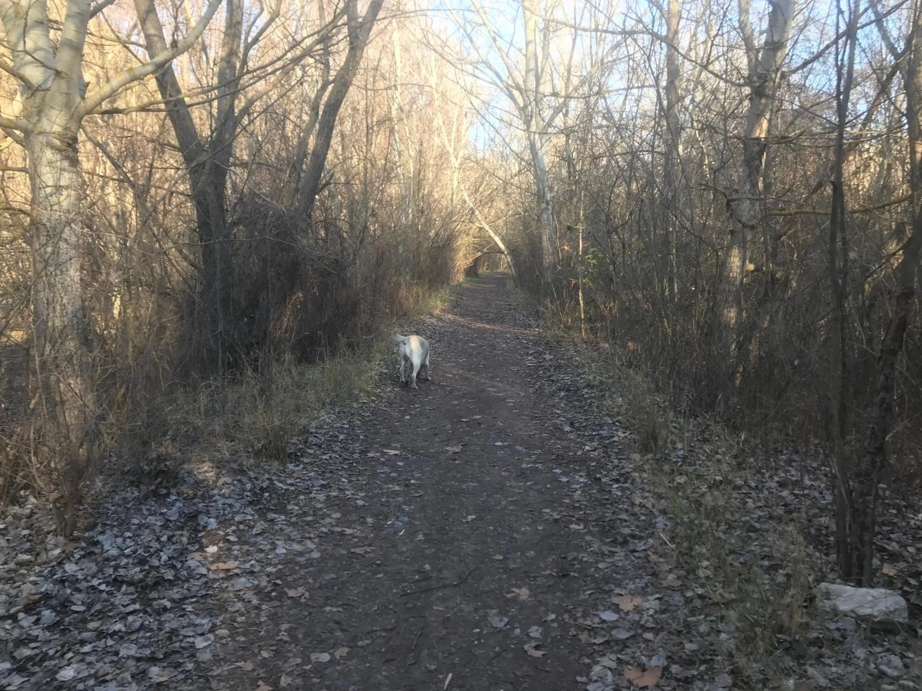 Apartamentos Duquesa Sierra Nevada