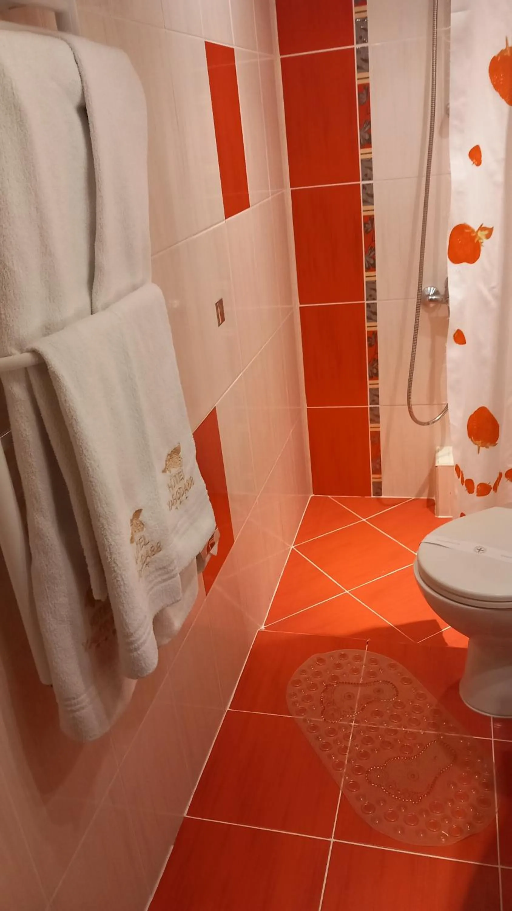 Bathroom in Family Hotel Yagoda88