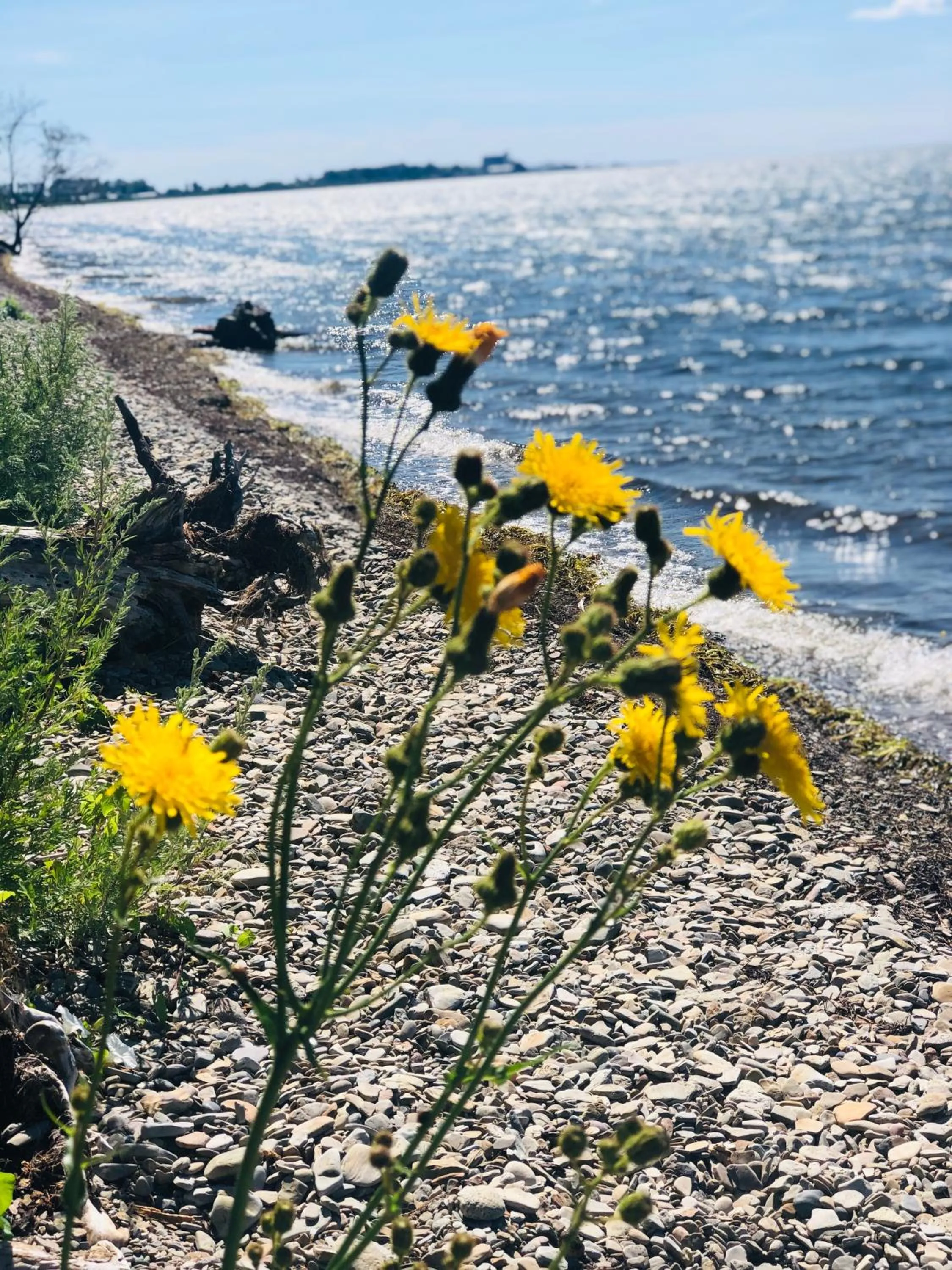 Natural landscape in Hotell Magasin 1