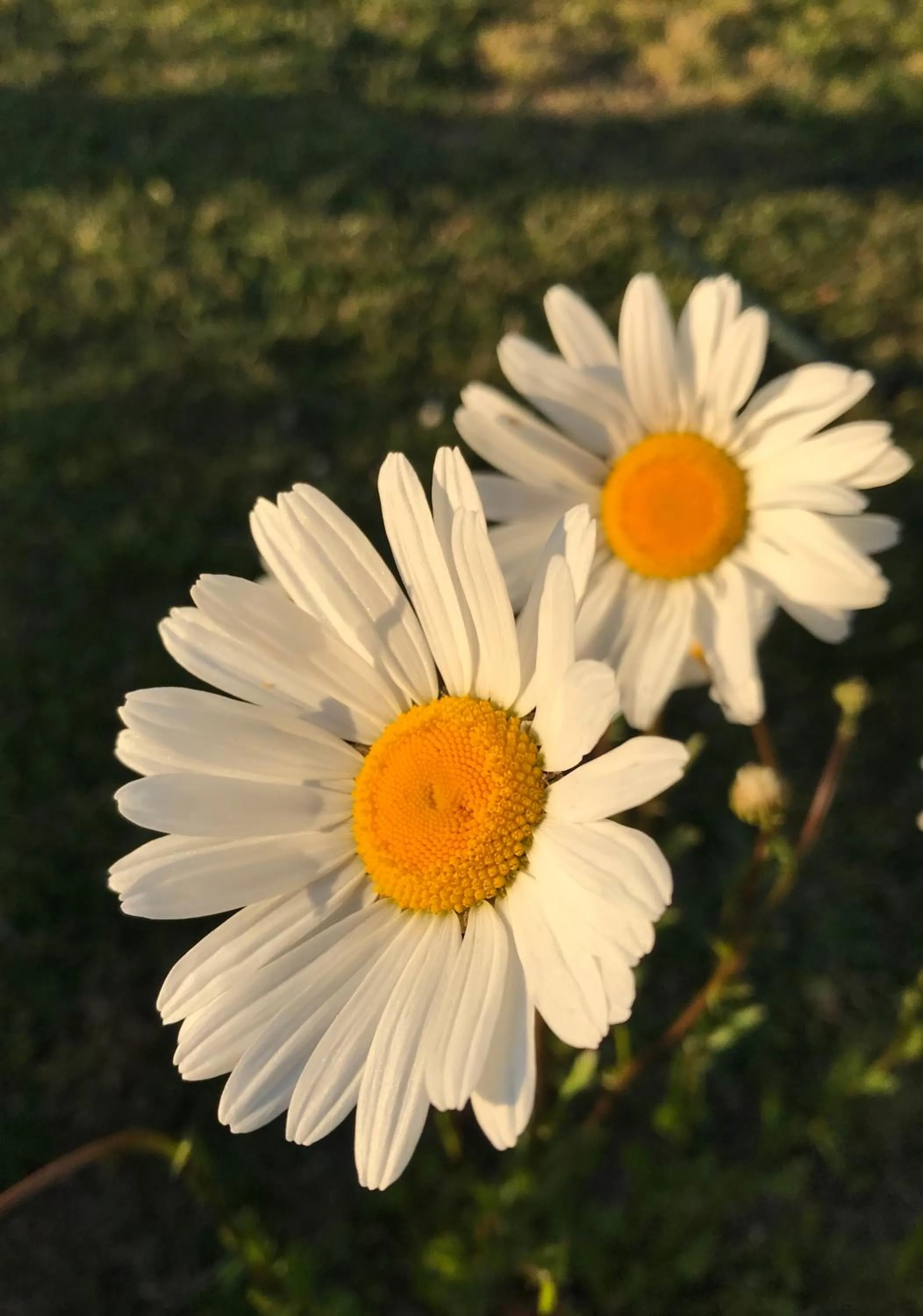 Neighbourhood in Hotell Magasin 1