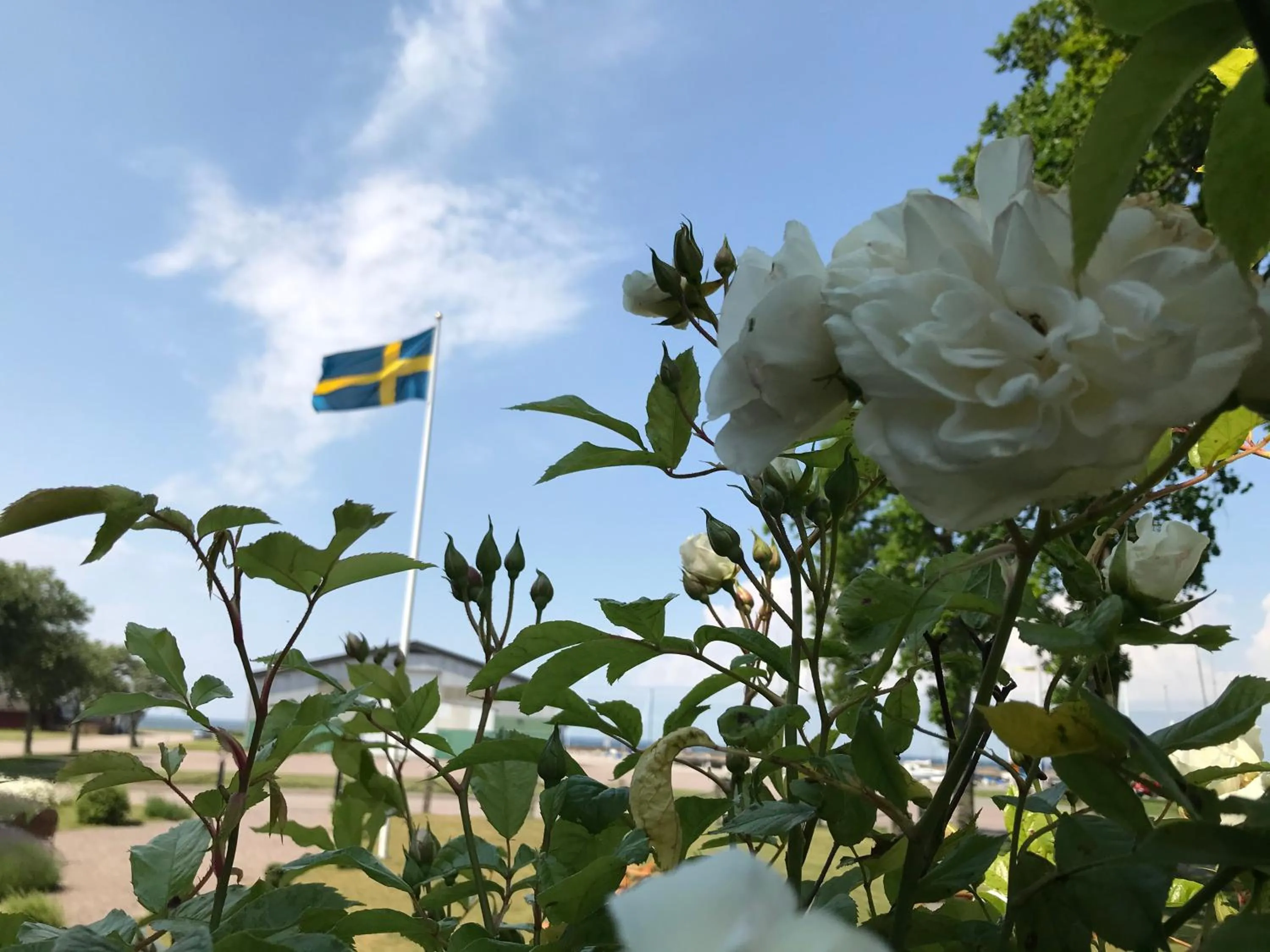 Garden in Hotell Magasin 1