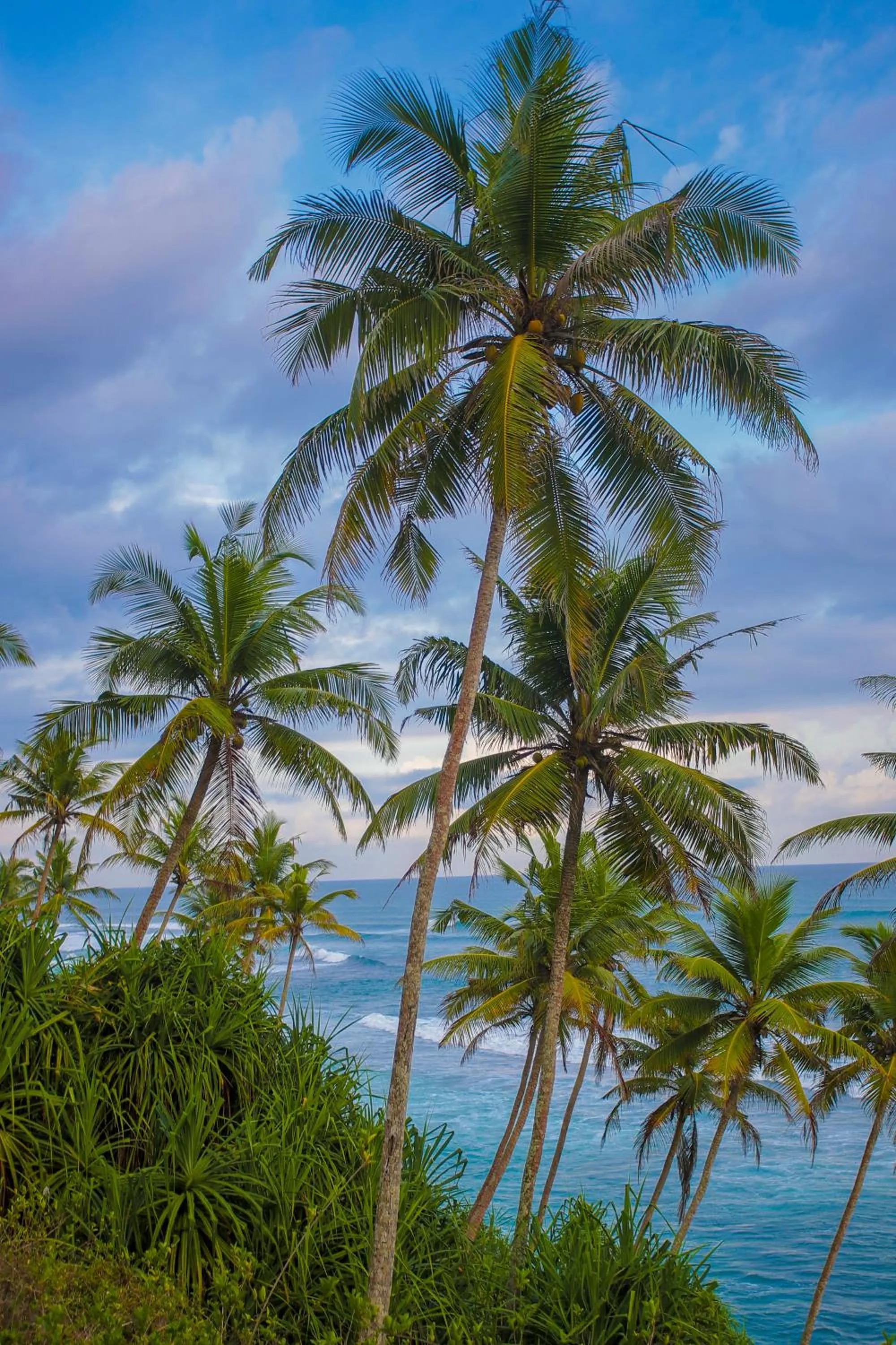 Natural landscape in Samaraana