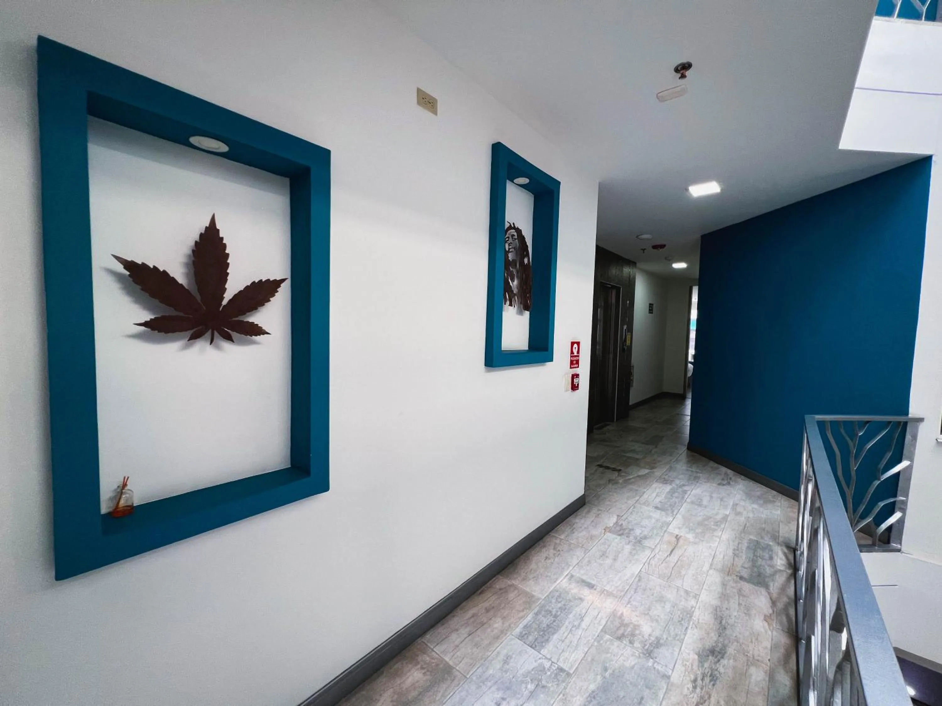 Area and facilities in Hotel Rosales Gold