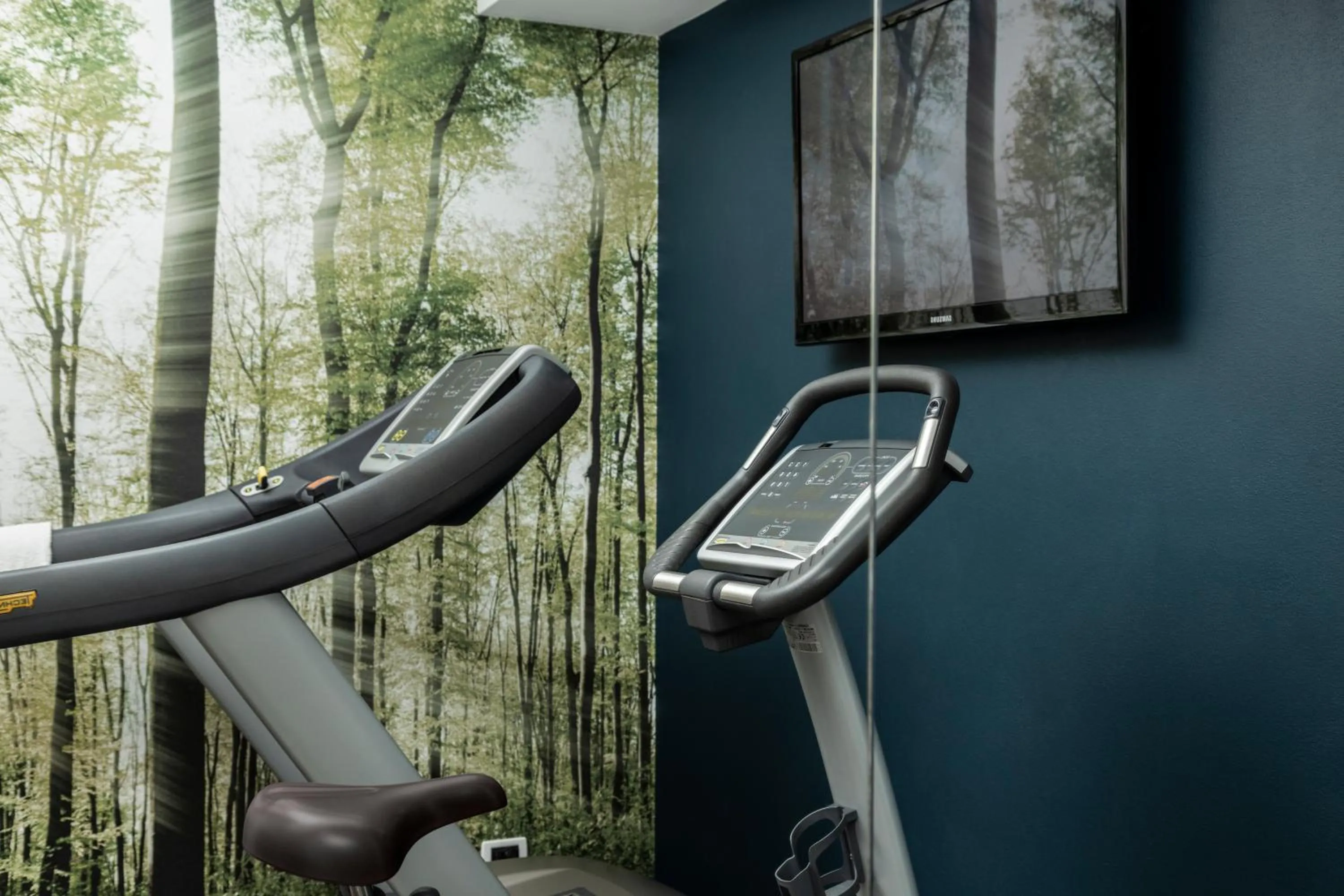 Fitness centre/facilities in Hotel Alle Acque